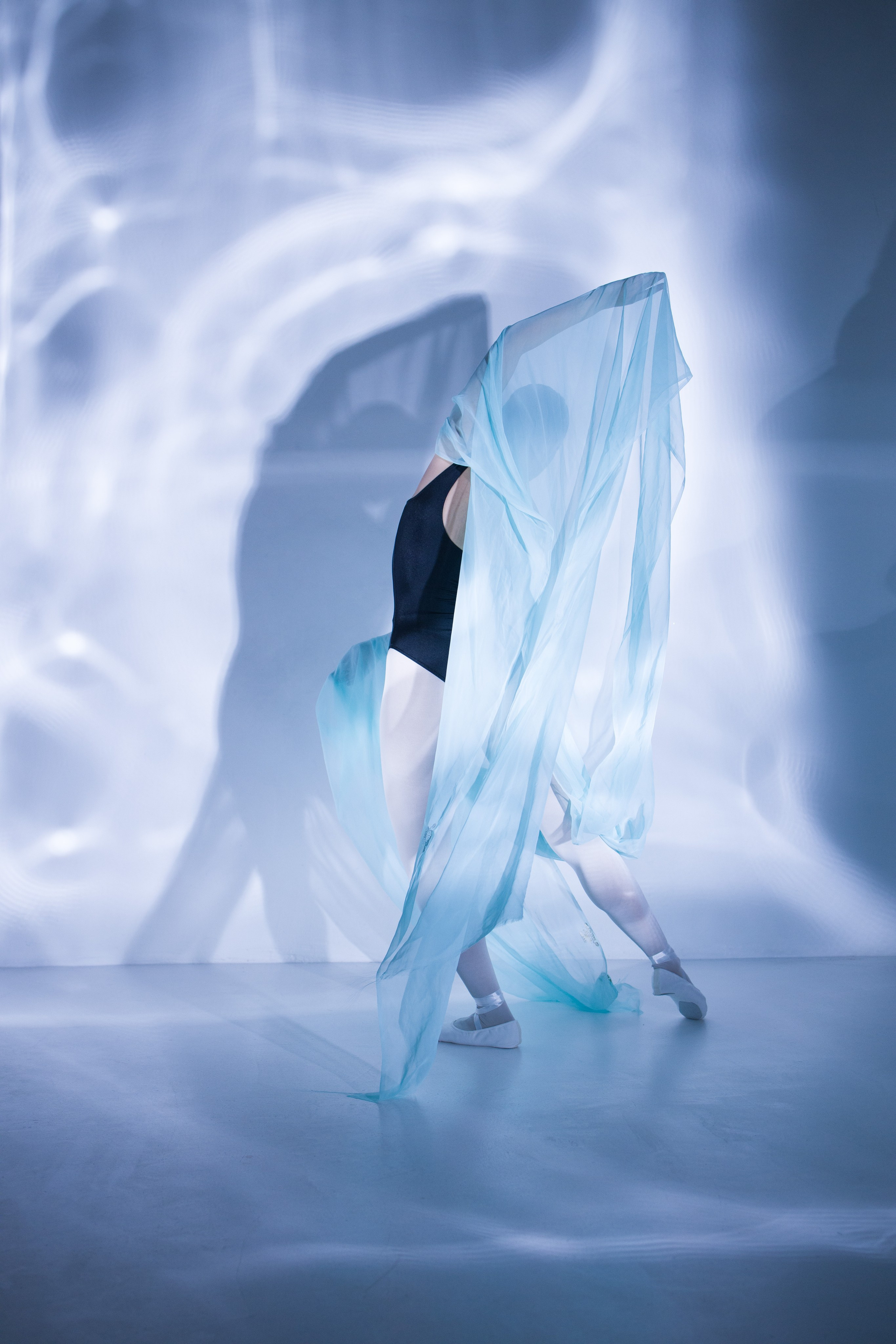 Лилия. Художественная фотография