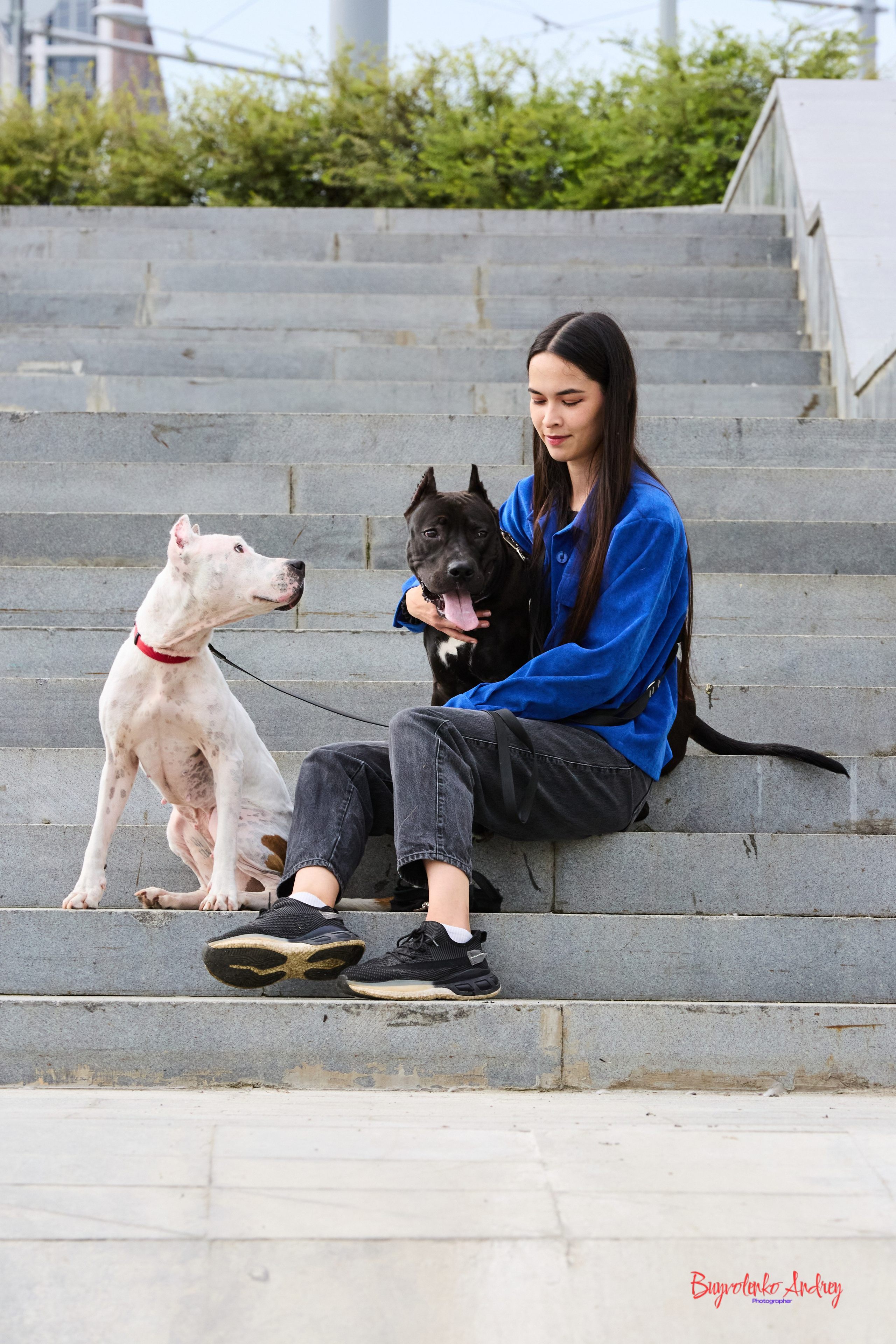 Проект фотопрогулка с хвостиком. Buyvolenko Andrey