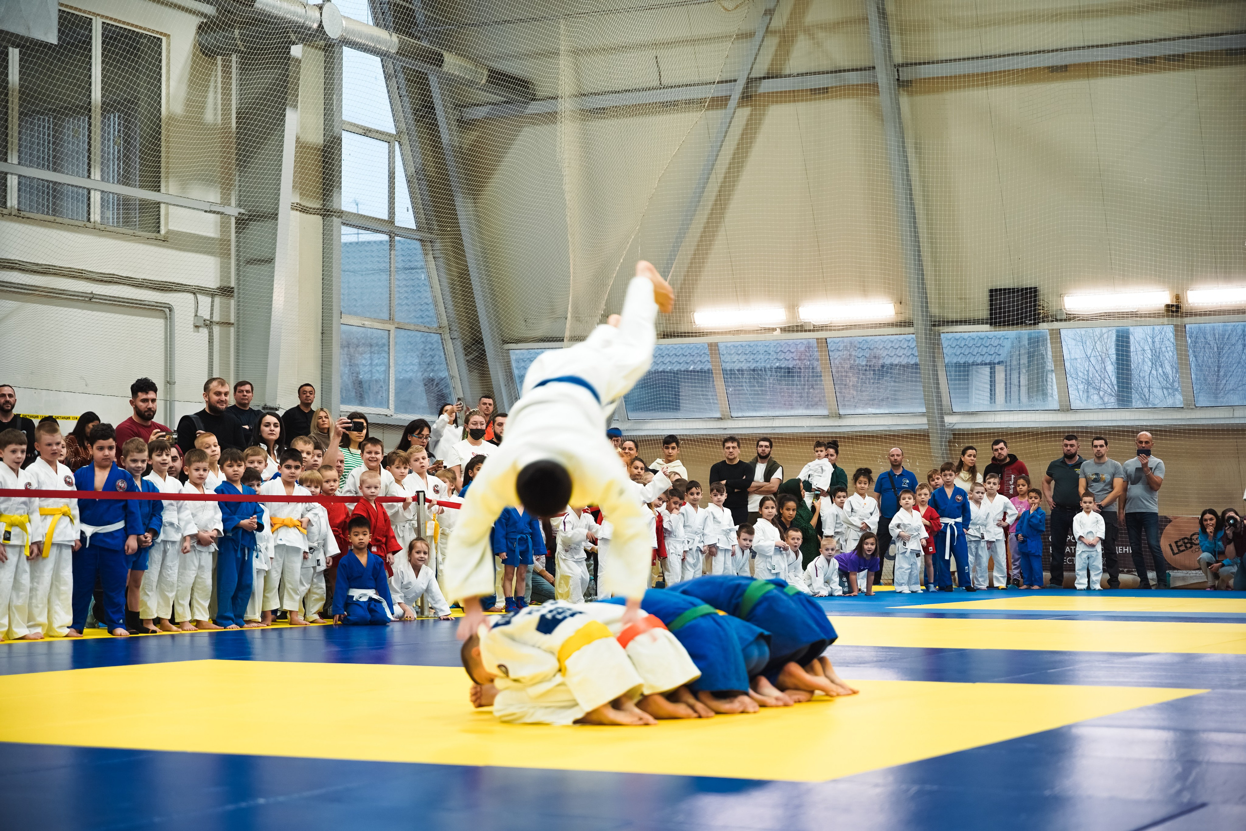 Самбо. Портретный и репортажный фотограф