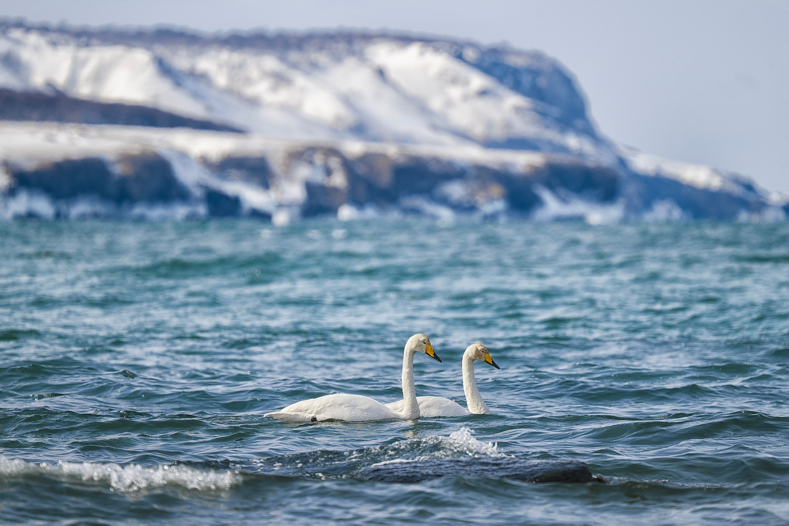 Курильские острова. Портретный фотограф в Челябинске Катерина Руди