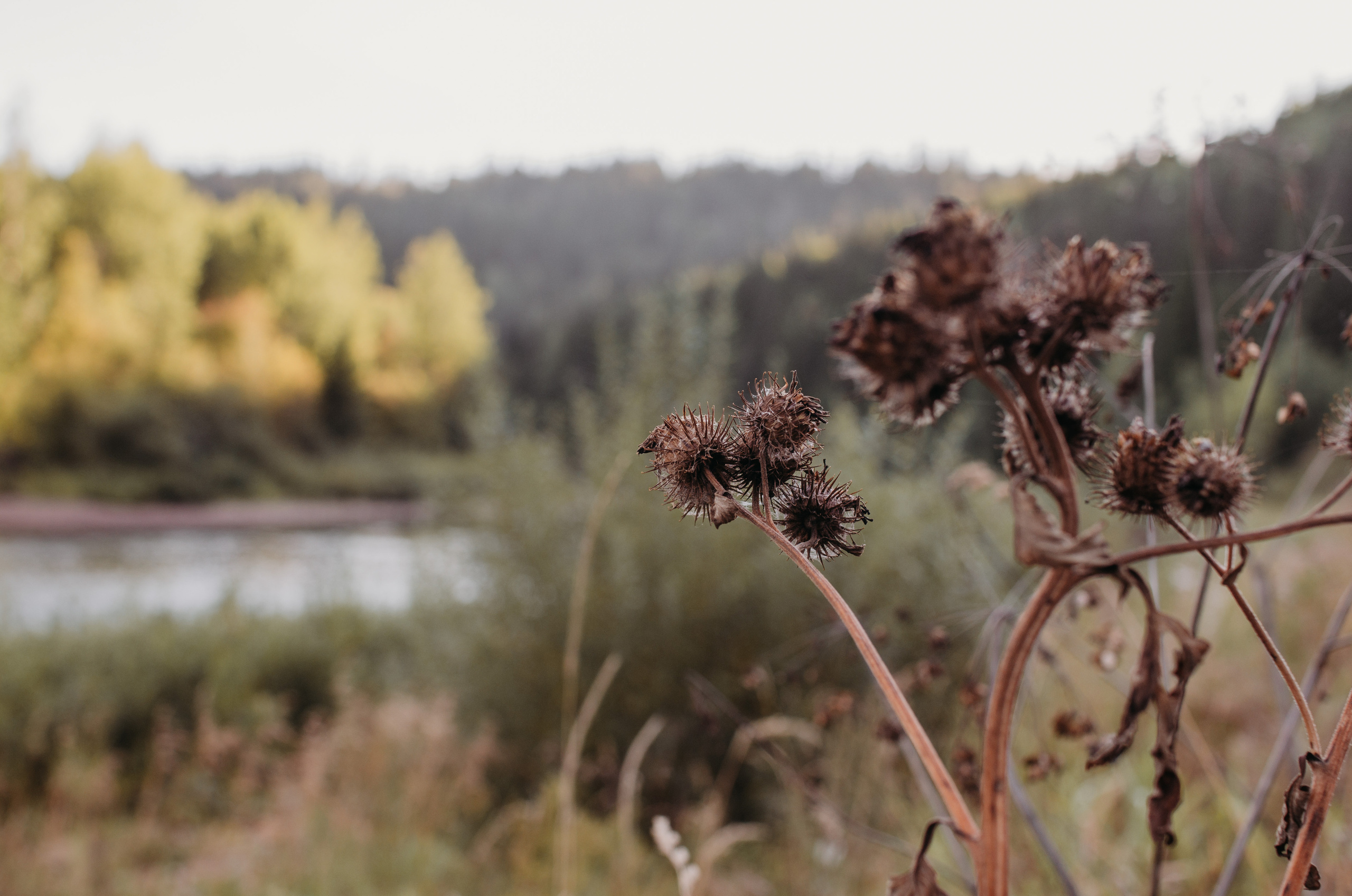 Усьвинские столбы. 27 август, 2022. Семейный фотограф в Екатеринбурге Всеволод и Марина Пономаревы