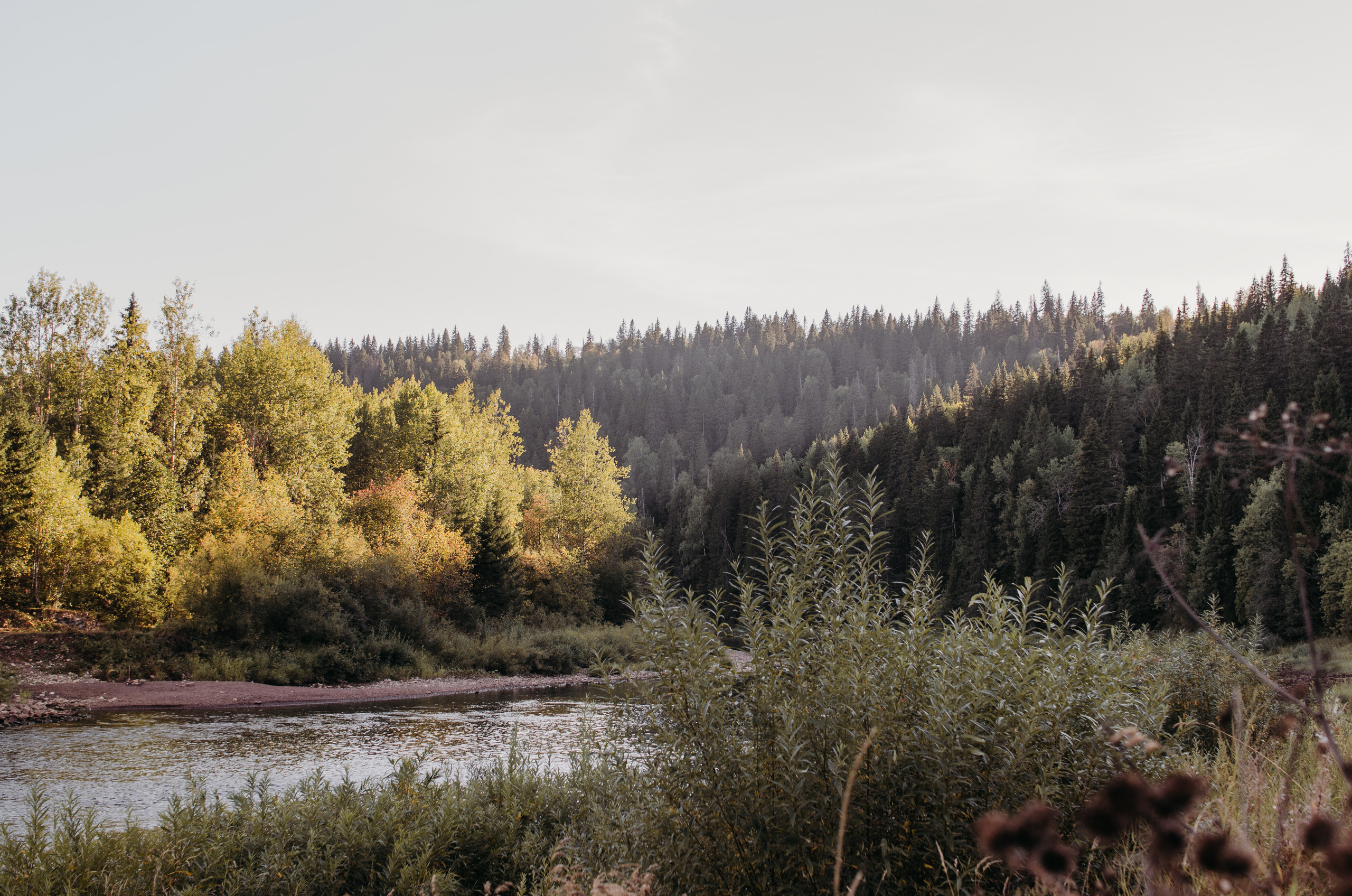 Усьвинские столбы. 27 август, 2022. Семейный фотограф в Екатеринбурге Всеволод и Марина Пономаревы