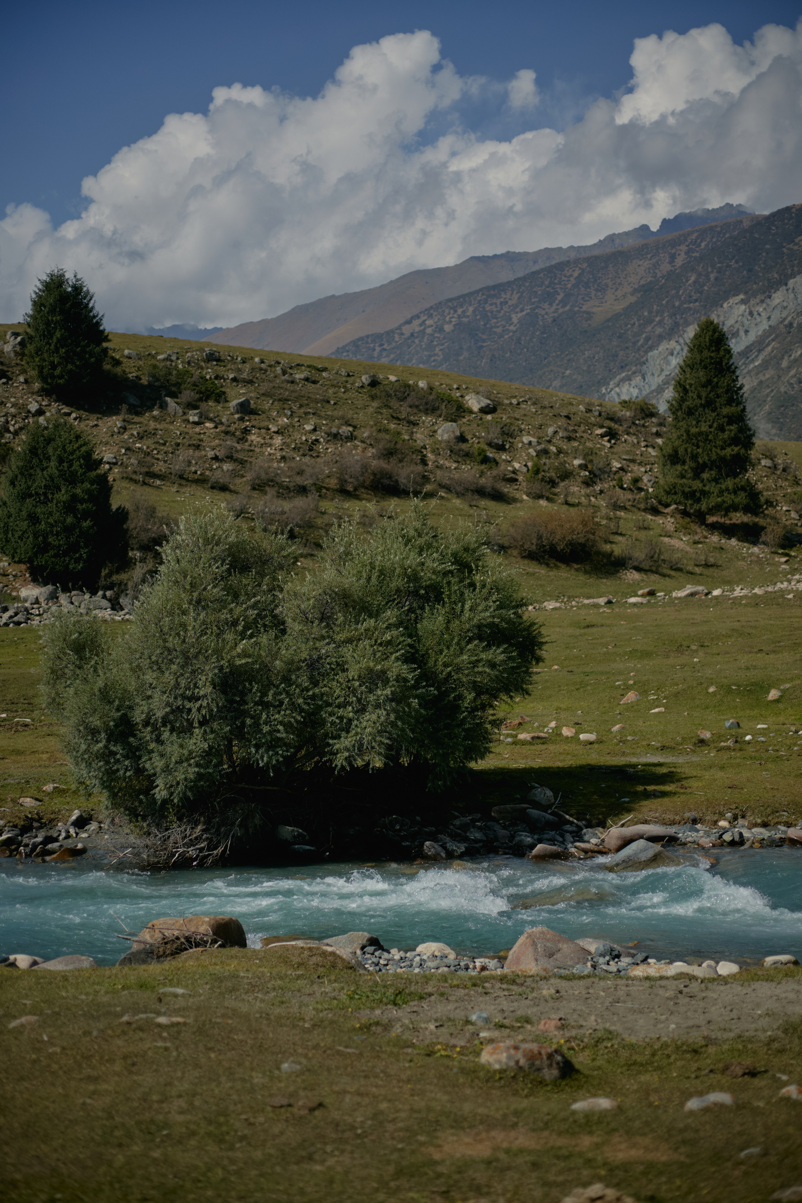 Кыргызтан. Профессиональный Фотограф во Владимире, в Москве и в Суздале — Полина Романычева
