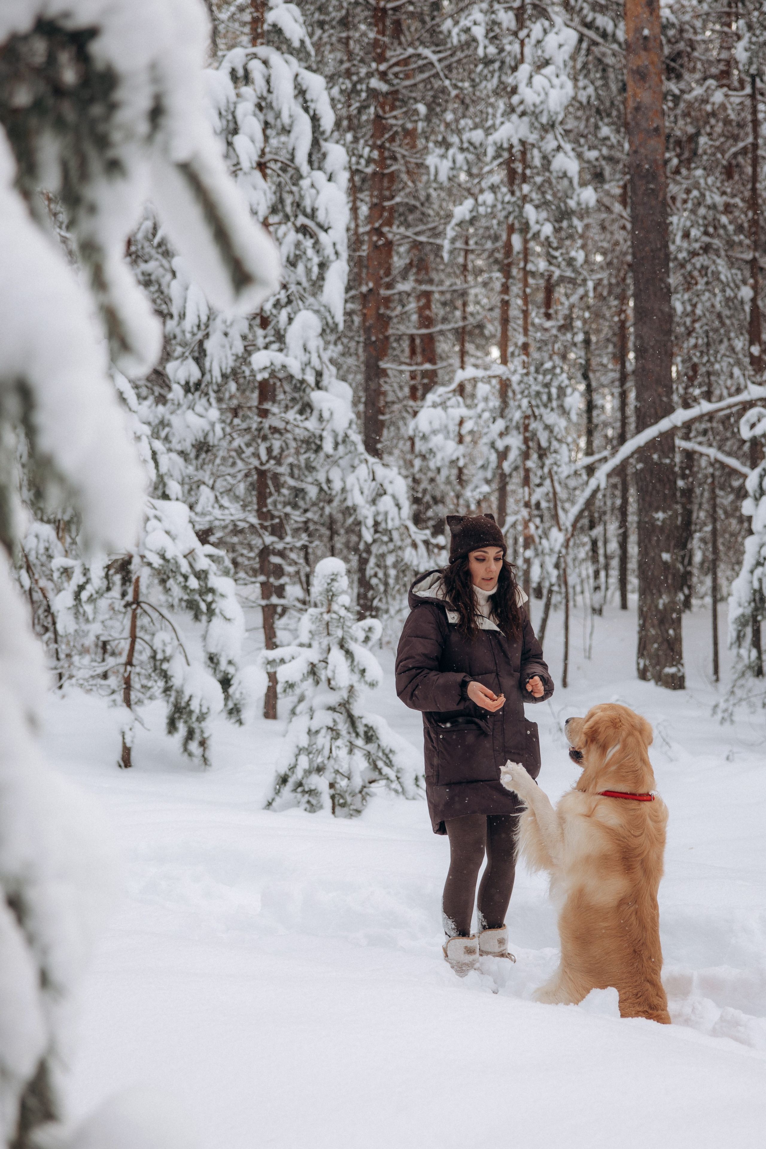Зимняя история, Света и Чарли. Фотограф анималист в Казани Алина Сулейманова. Фотограф животных