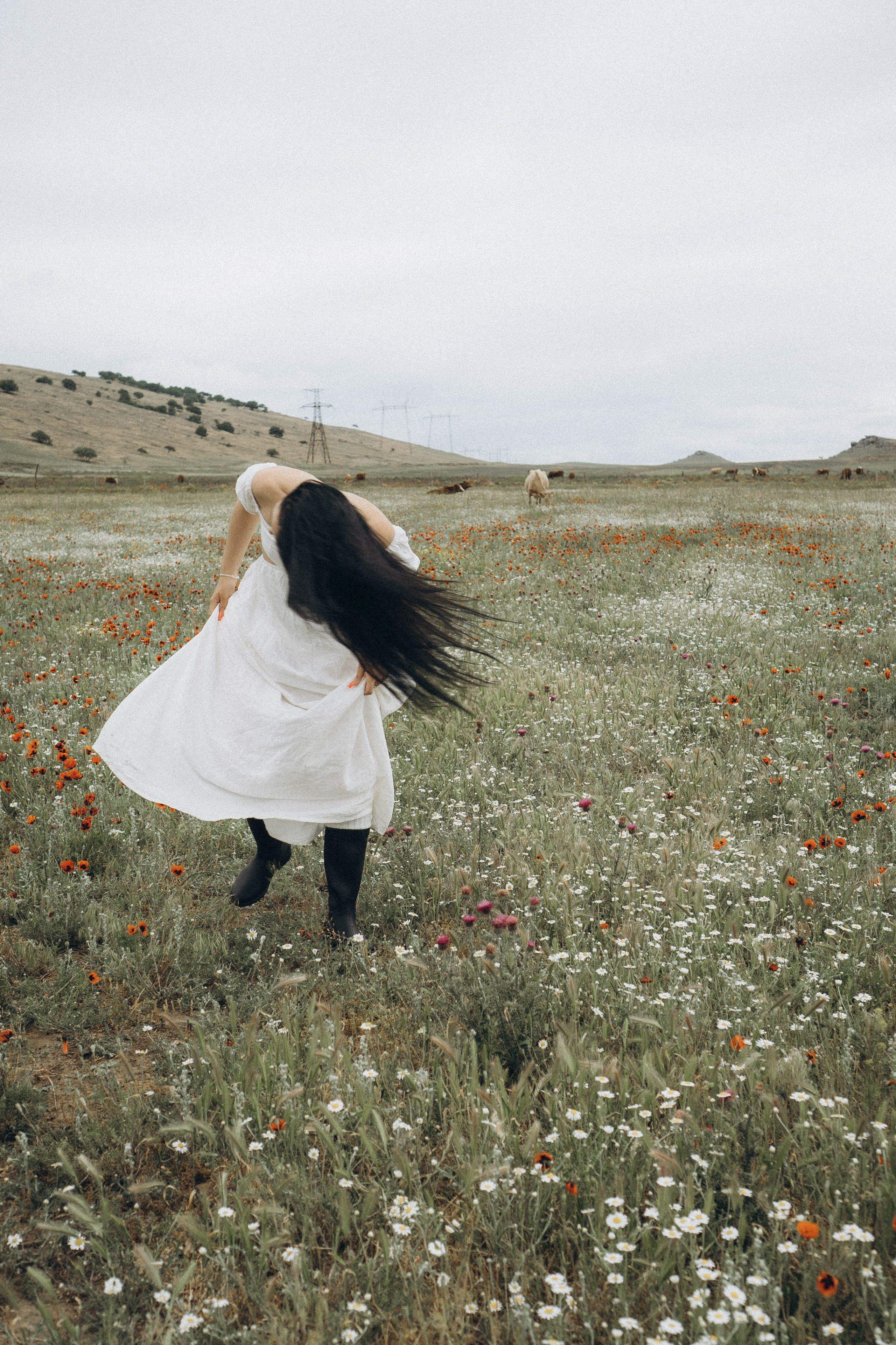 Маковое поле. Профессиональный фотограф, Санкт-Петербург — Виктория Богомолова