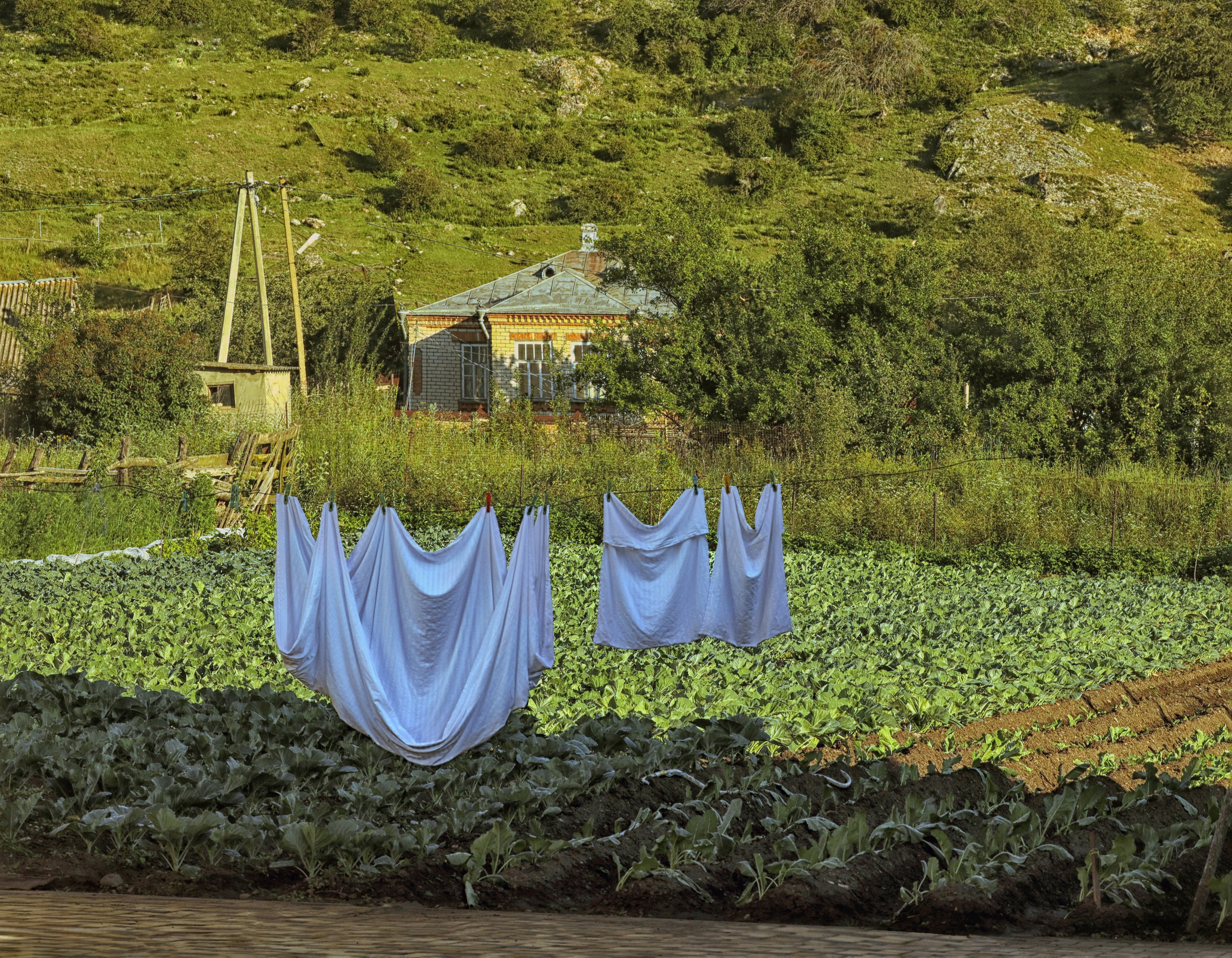 Пейзаж. Фотограф Наталья Туева FineArt съёмка