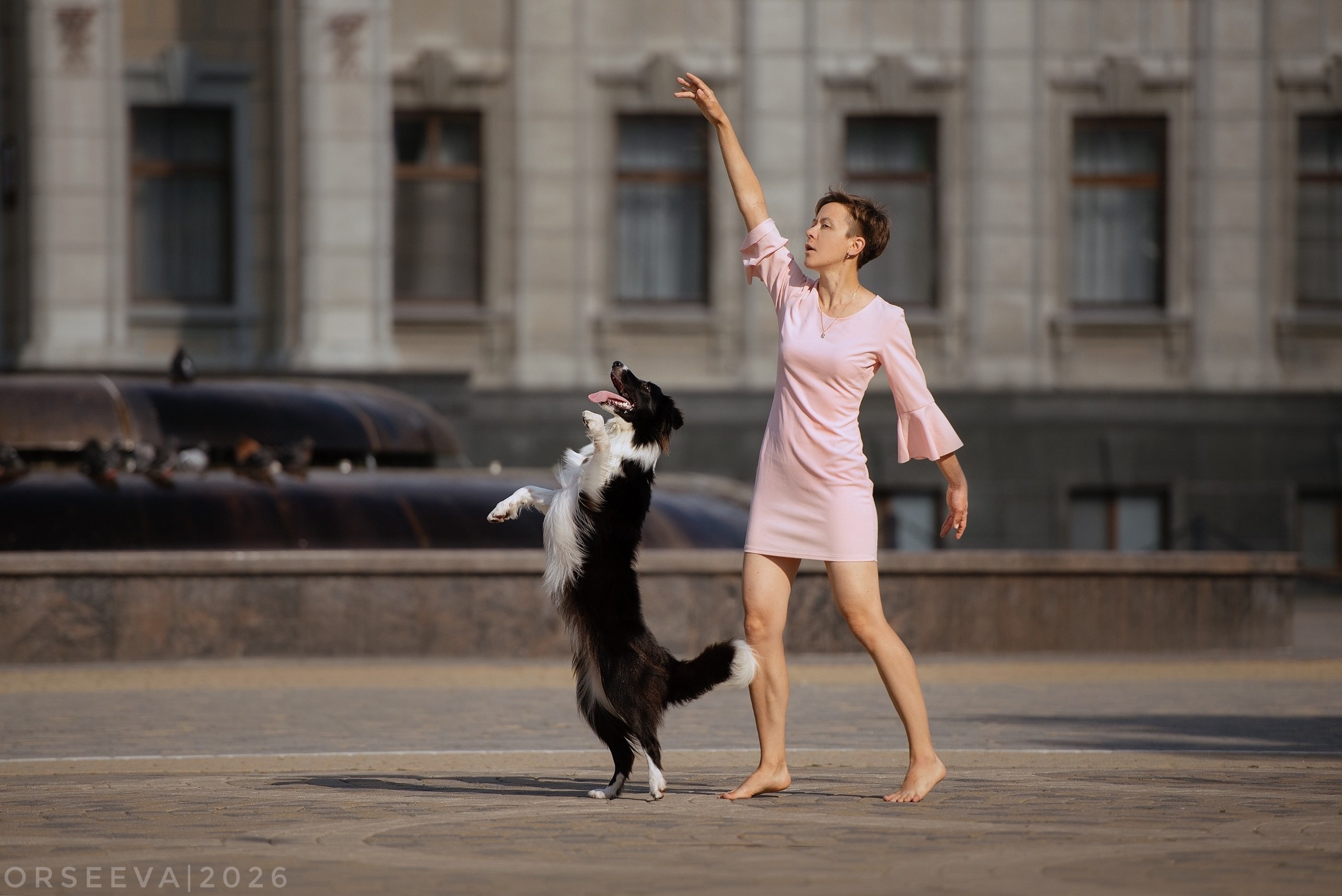 Love story: человек + собака. Фотограф-анималист Мария Орсеева, Краснодар