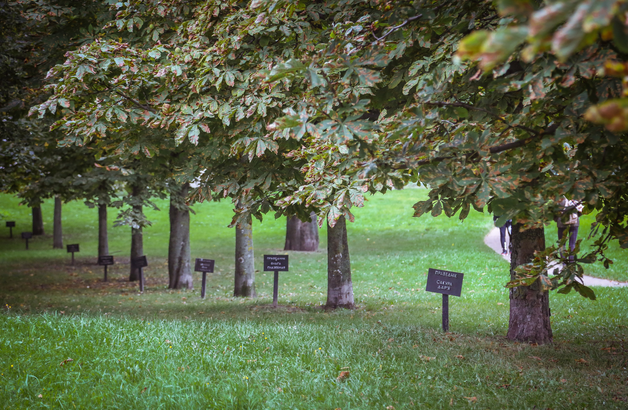 Одна на всех — минская «Яма». Дарья Письменюк / Darya Leitstern — фотограф, музыкант, журналист, путешественник