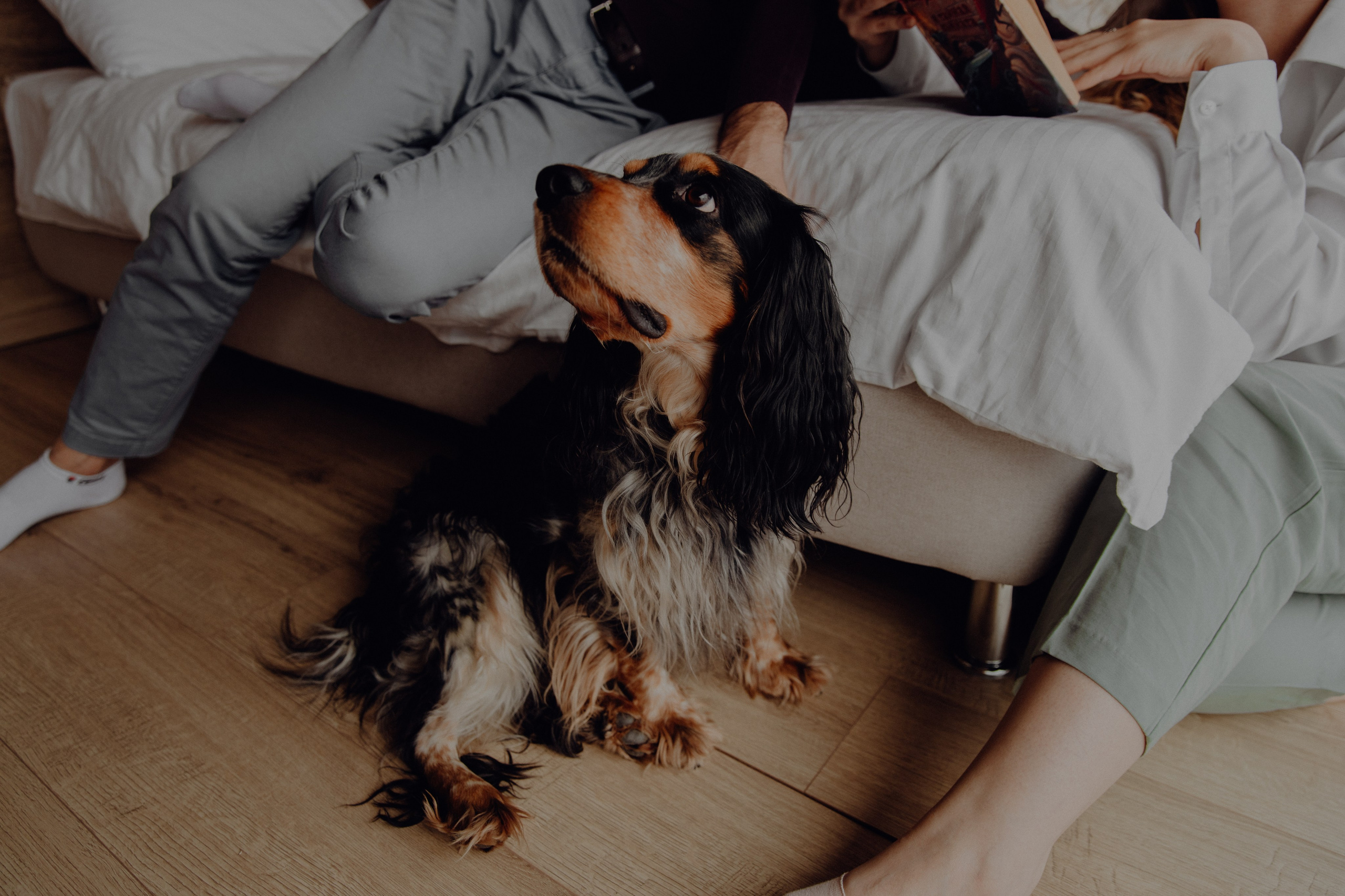 Ася ღ Заур. Портфолио