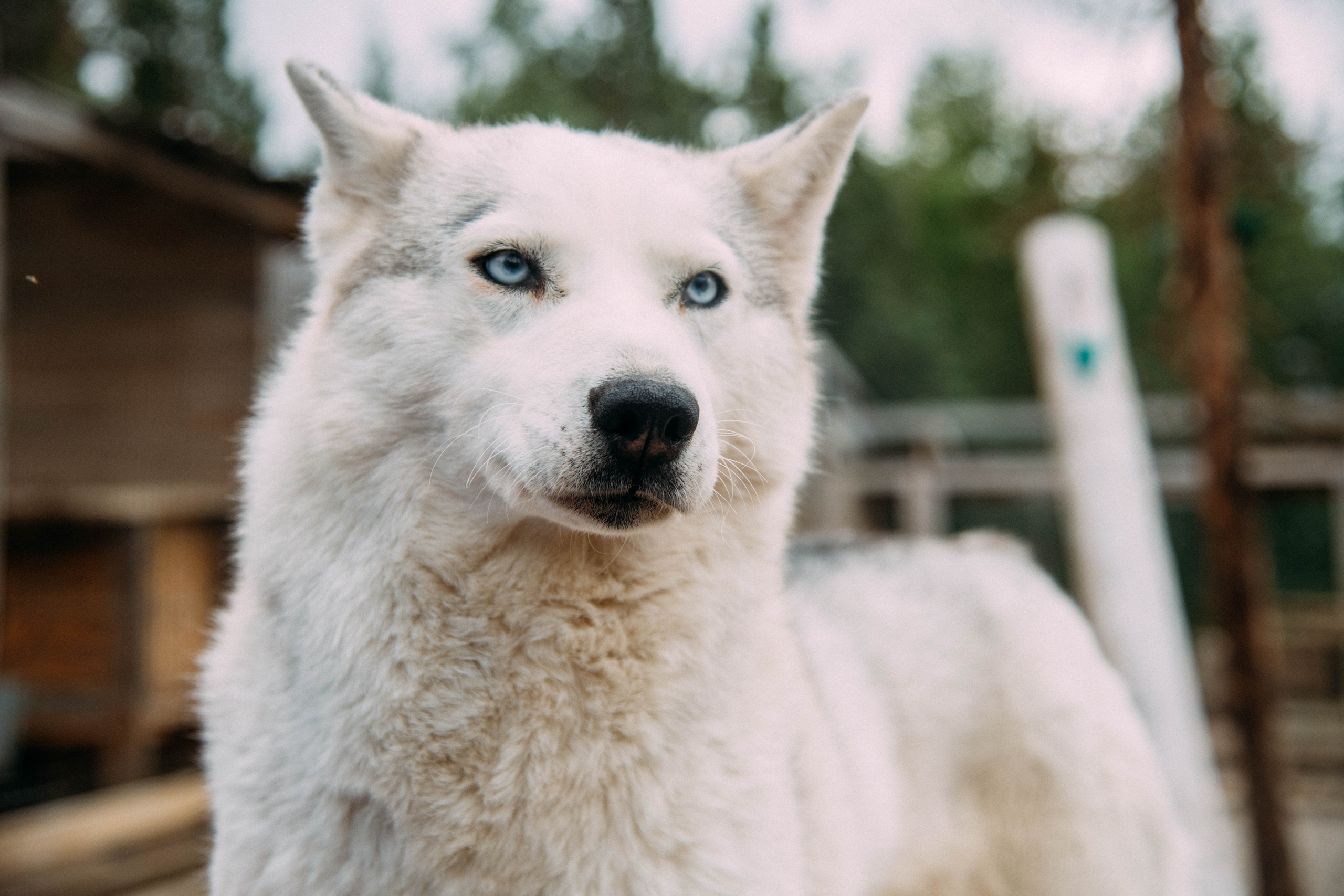 Кольский полуостров. Фотографирую для себя, своей семьи и друзей!