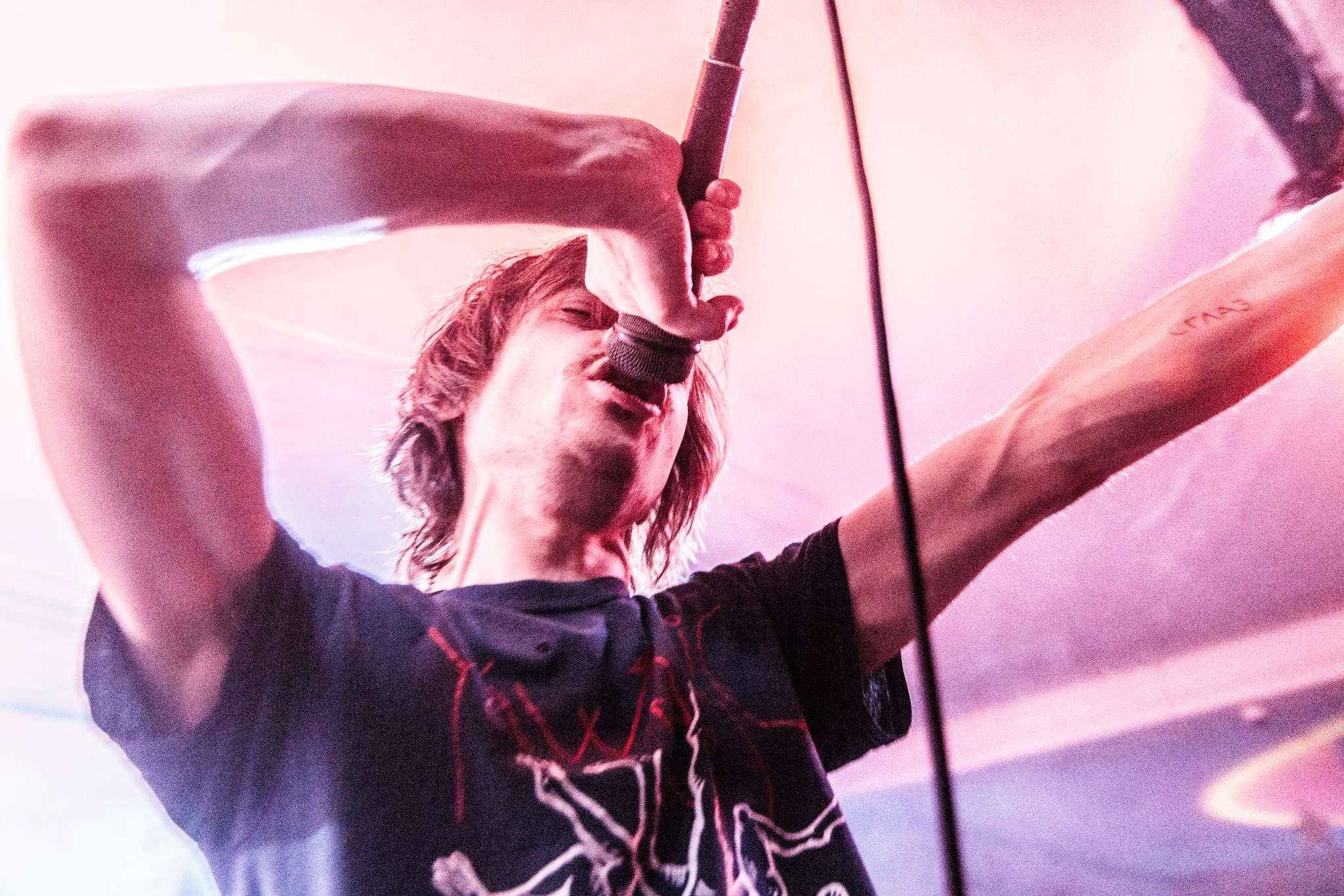 Змееед, Apodemus, 20.12.25, TAGO)))MAGO)))