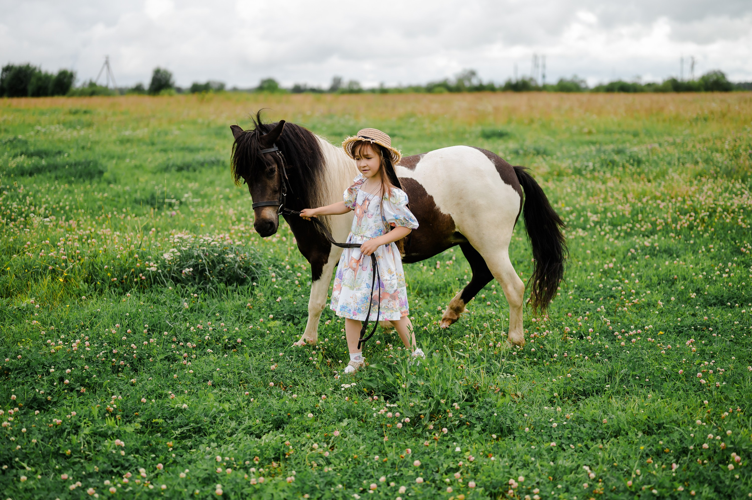 Фотосъемка с пони. Свадебный и семейный фотограф Евгения Кононова