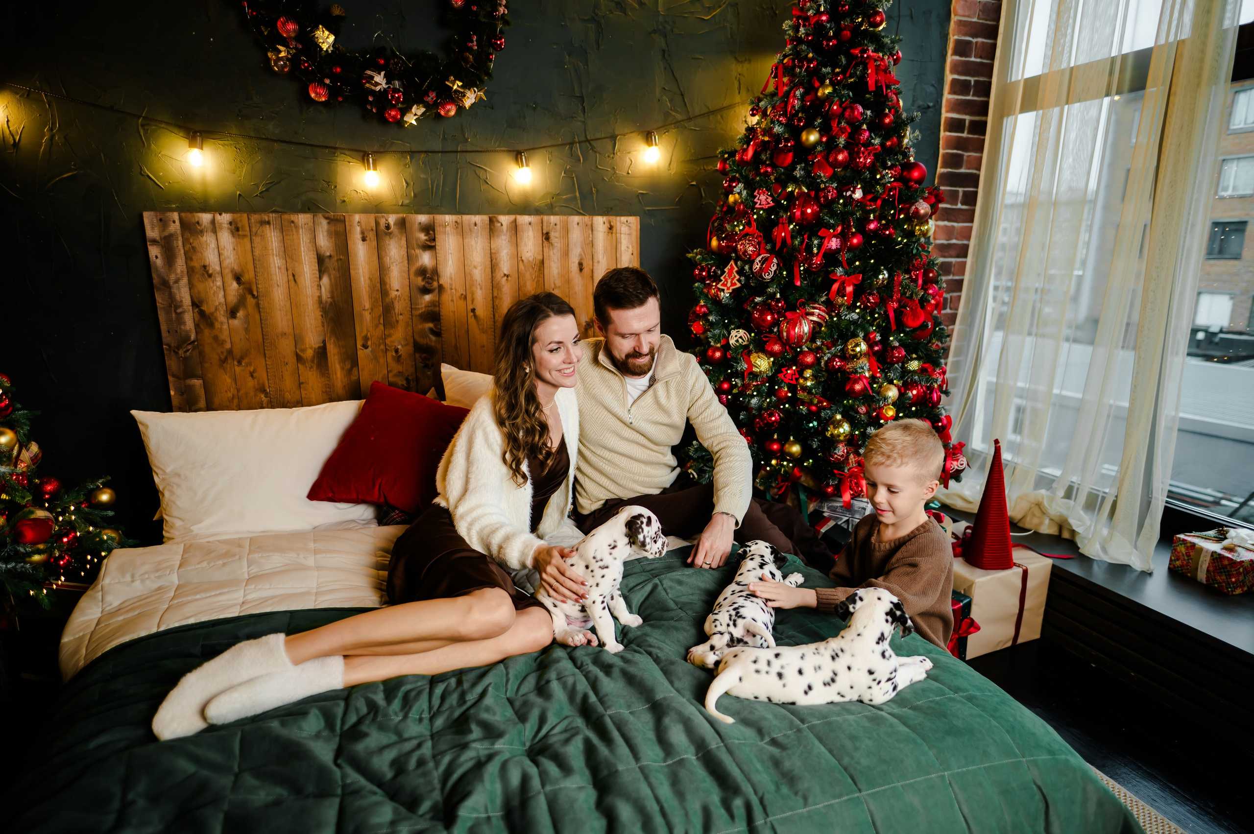 Фотосессия с далматинцами. Свадебный и семейный фотограф Евгения Кононова