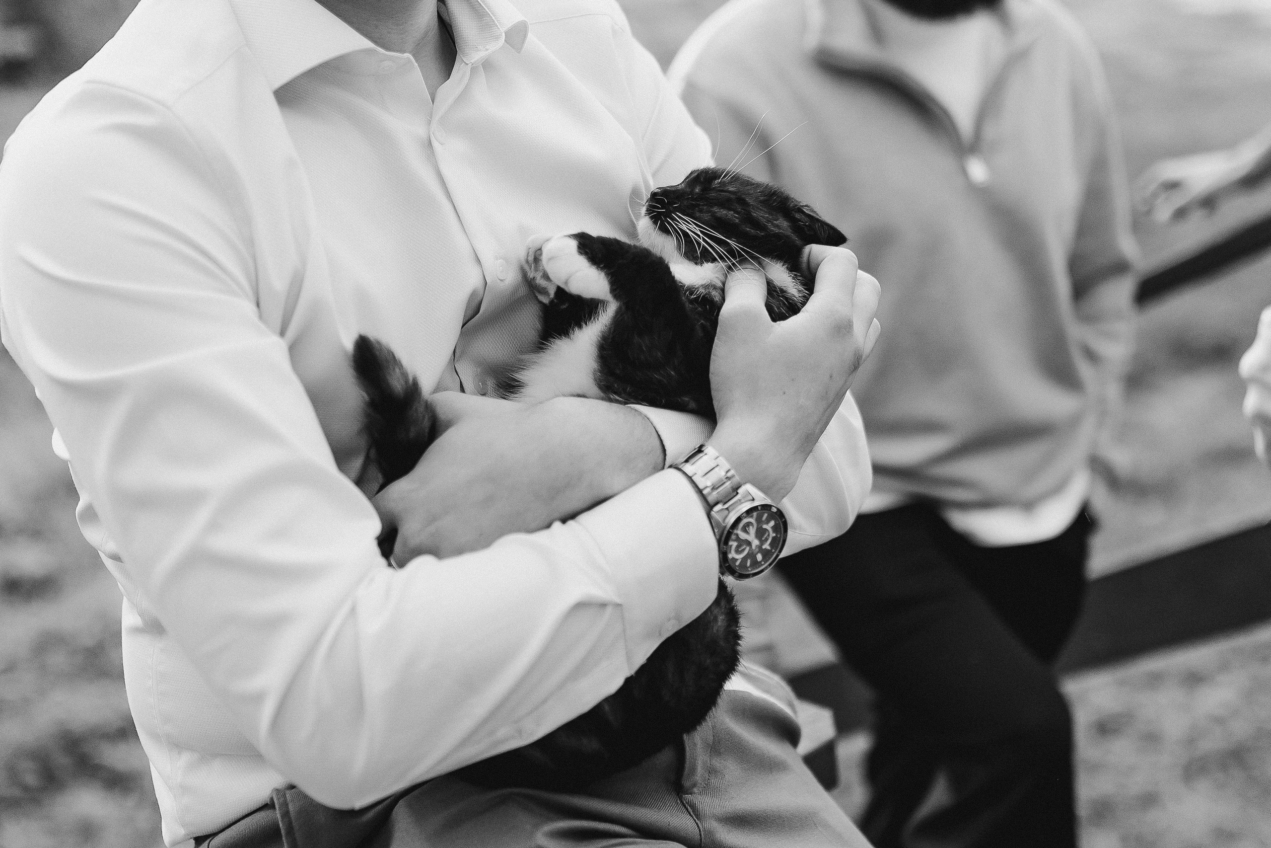 | Be Love |. Jen.swph Свадебный фотограф