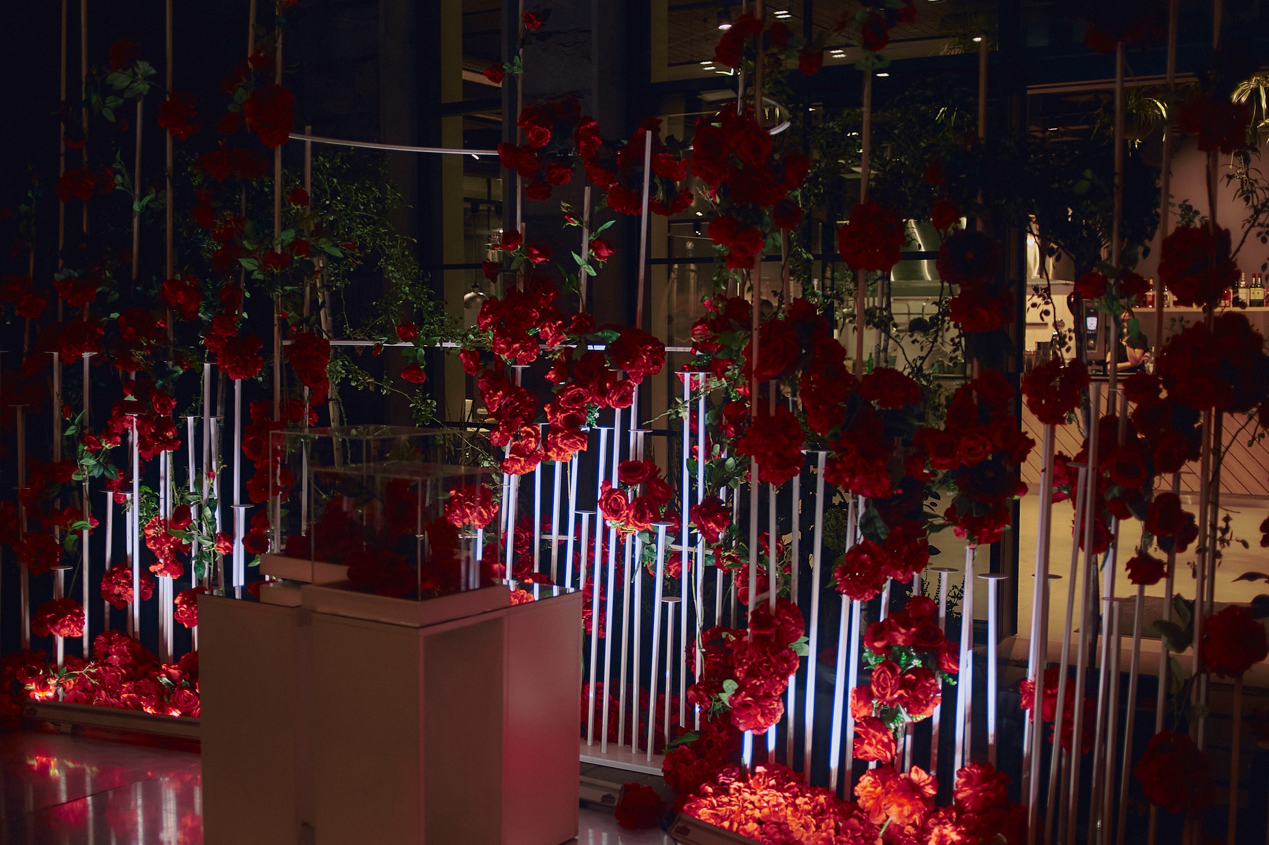 PORSCHE. Egor Plakhotin Photography