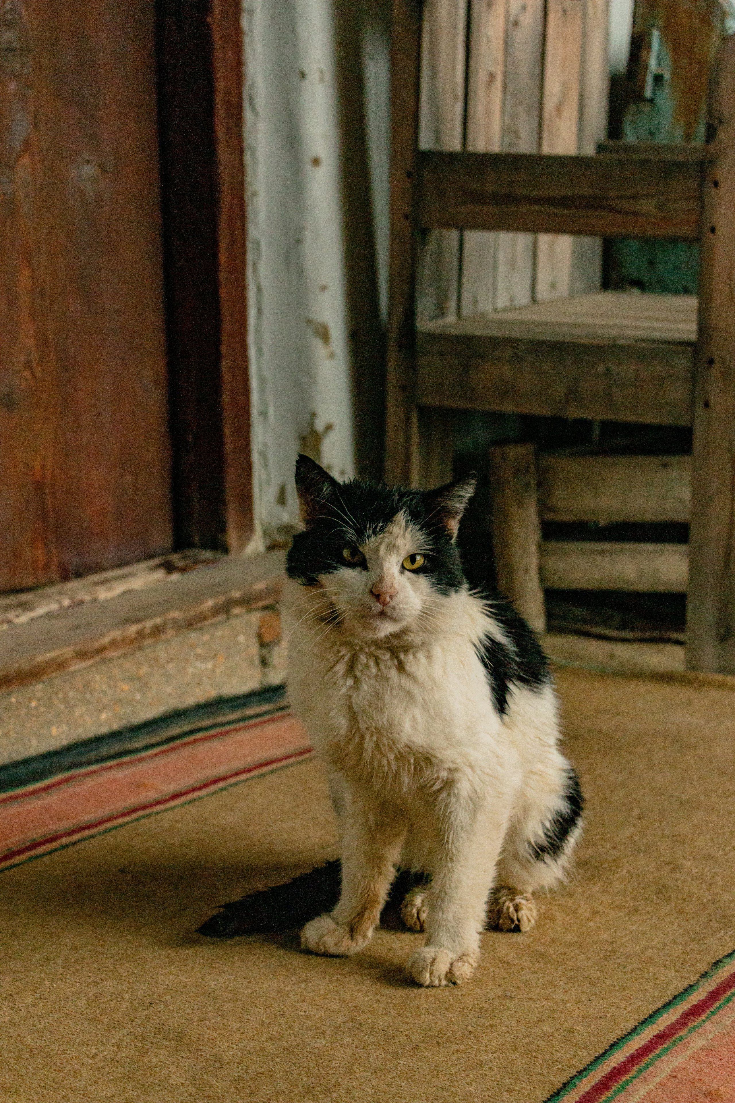 Дагестан. Фотограф в Сочи