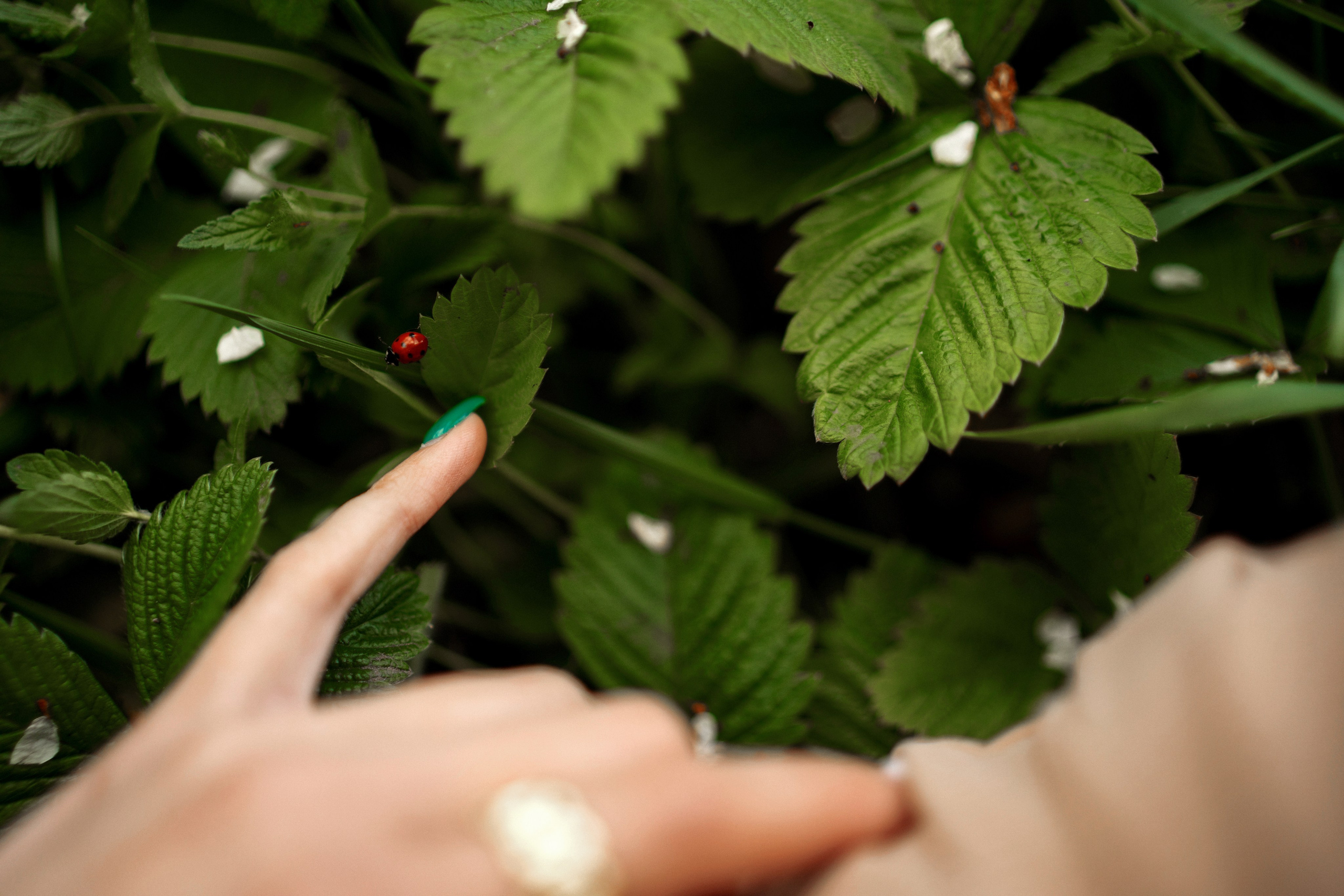 Валерия. Фотограф Тамбов — Воронеж