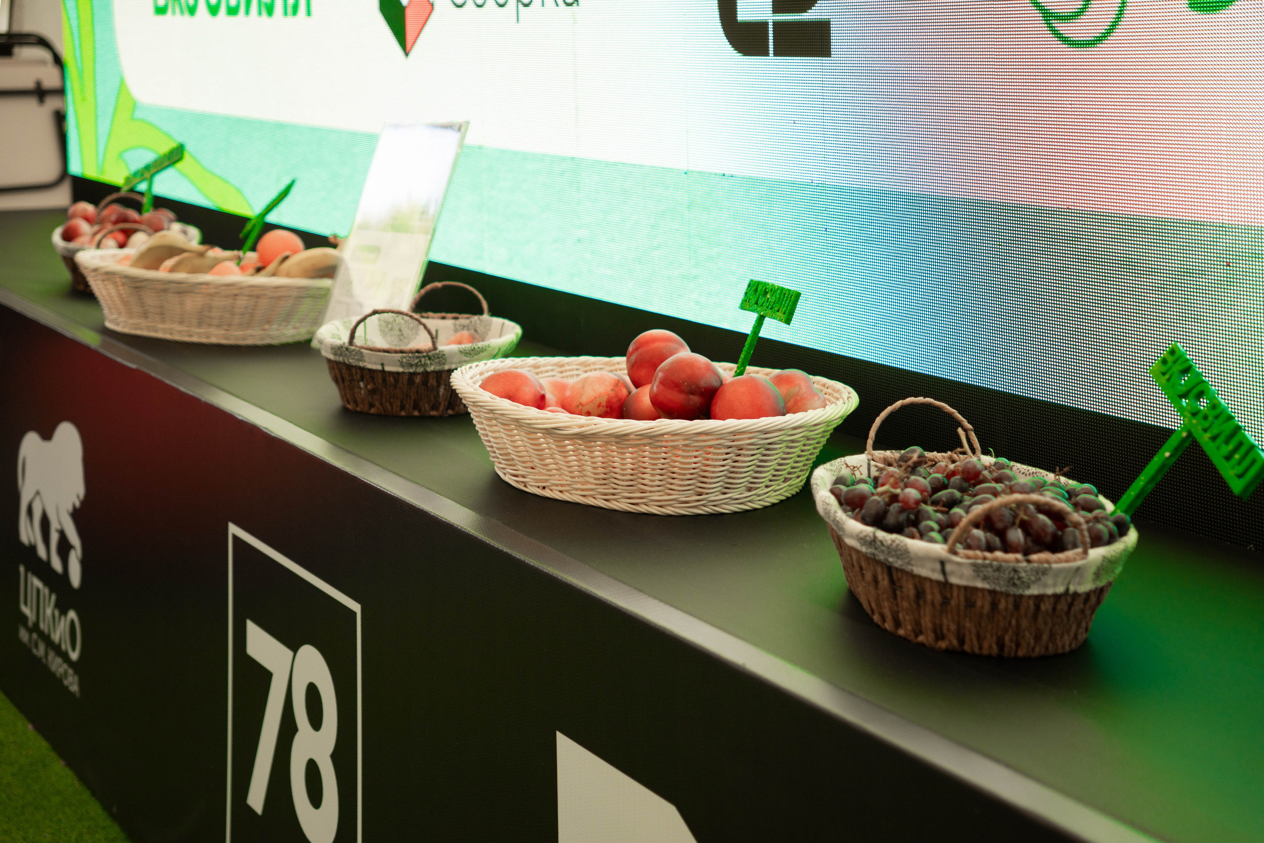 Репортаж. Oyallu.ru