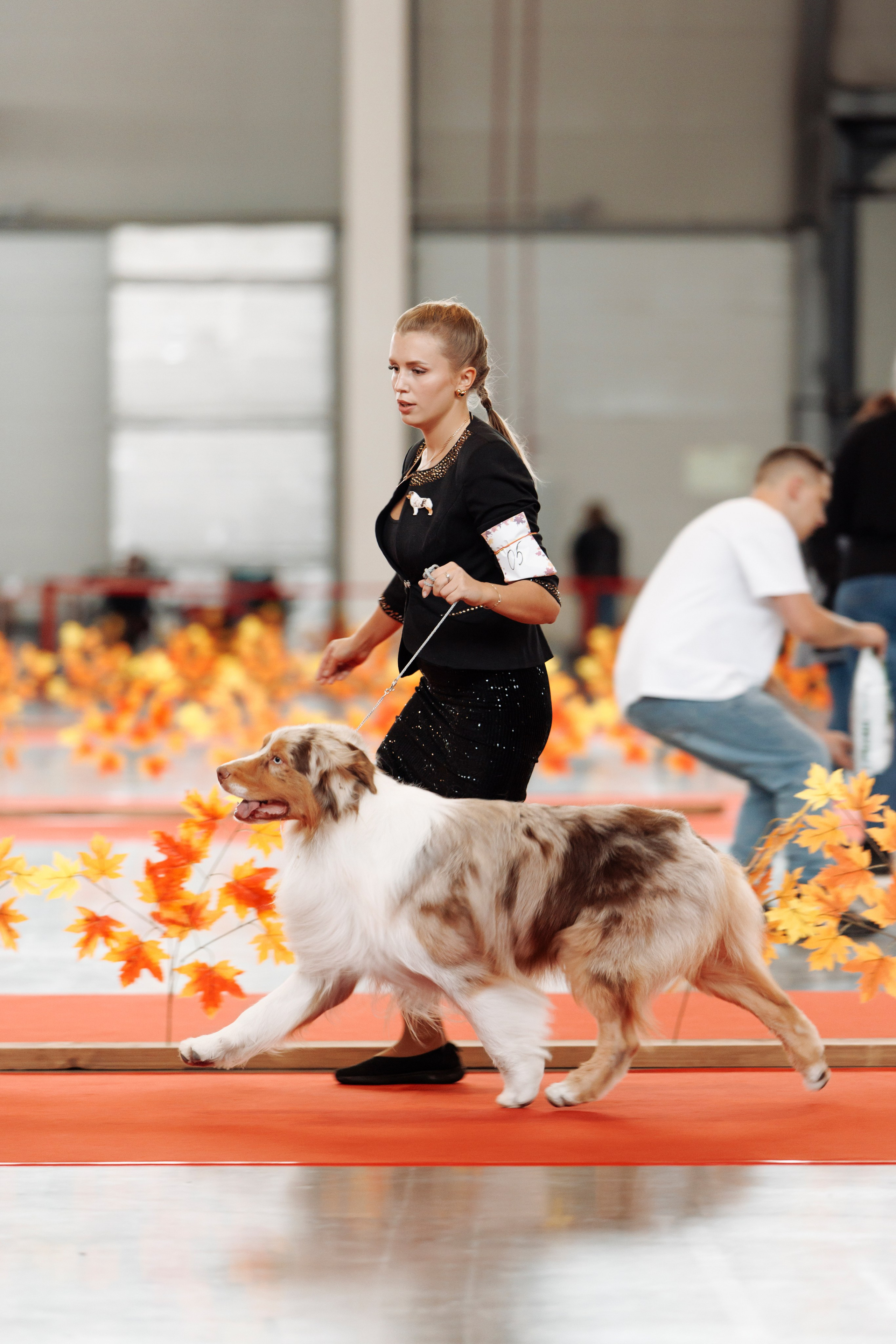 18/19.10.2025 — Екатеринбург. Фотограф-анималист Саша Вязьмина