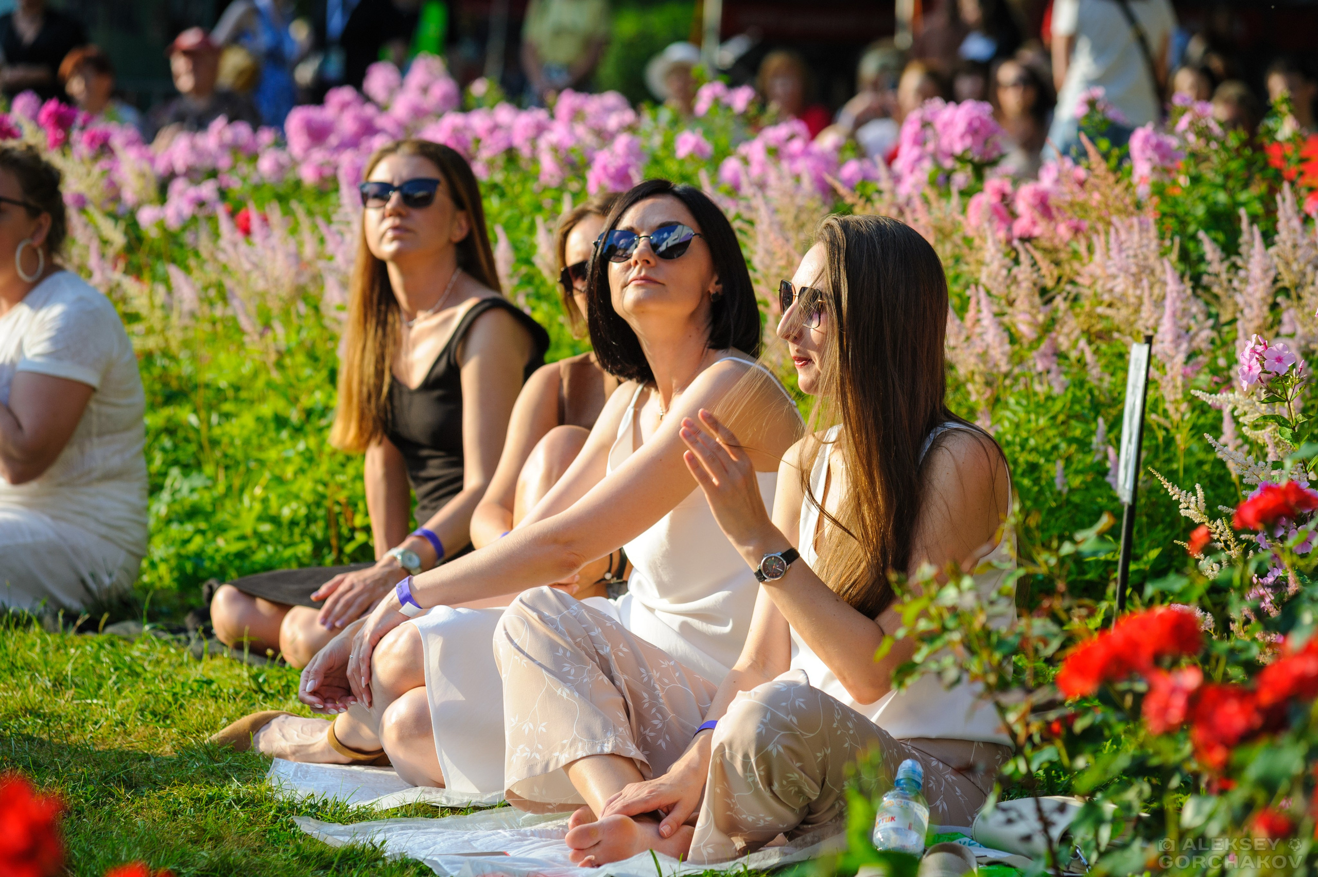 Saint Petersburg Jazz Fest, 26.07.2025. Алексей Горчаков. Фотограф на ваш праздник