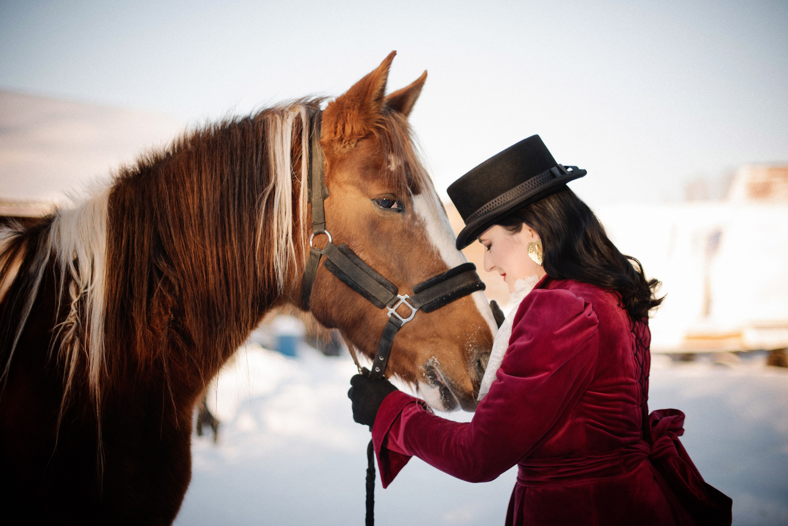 Фото СИМВОЛ ГОДА 2026 от Натальи. ФОТОПРОЕКТЫ