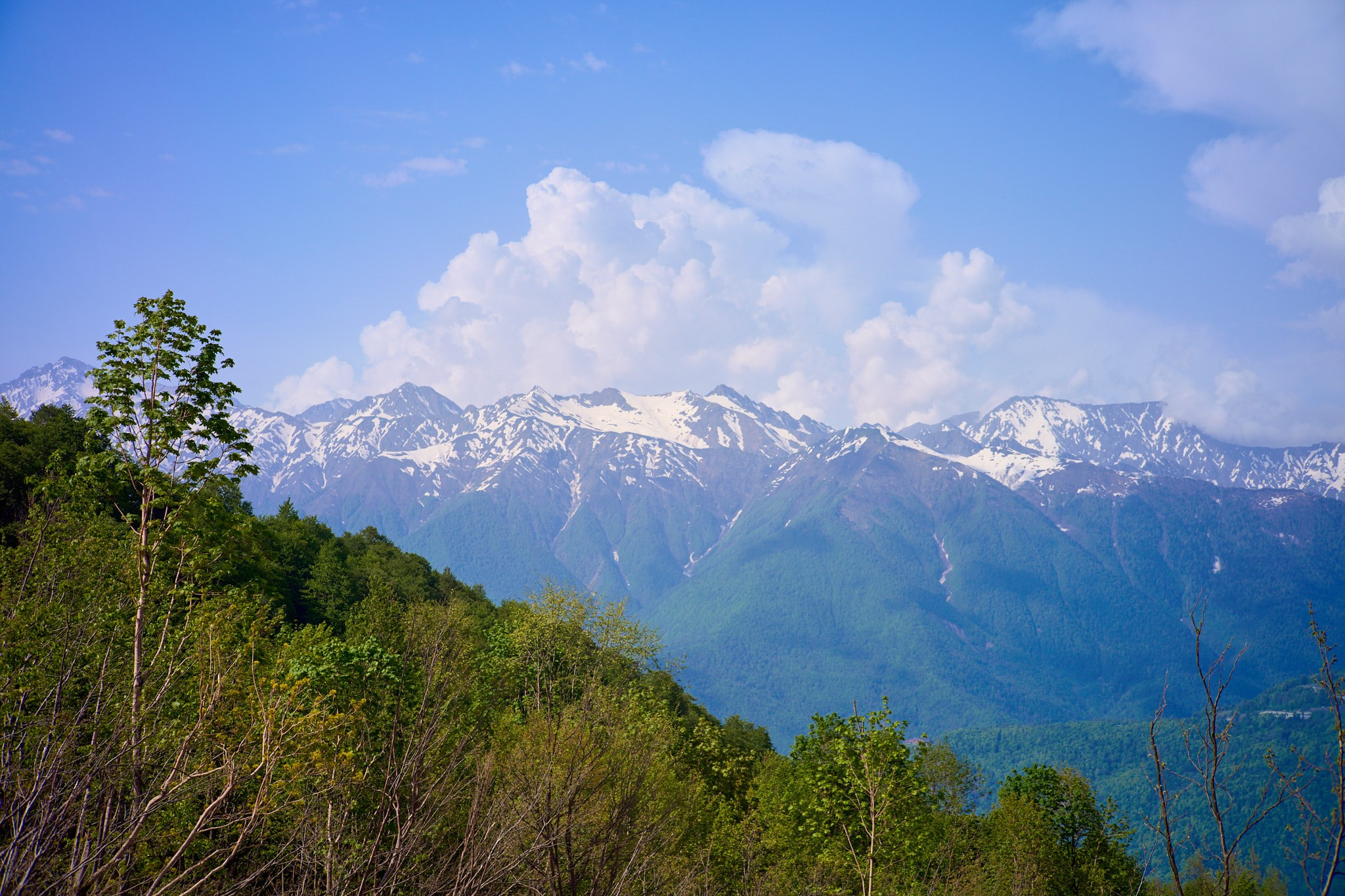 Красная Поляна, апрель 2024. Фотограф, Римма Невинская
