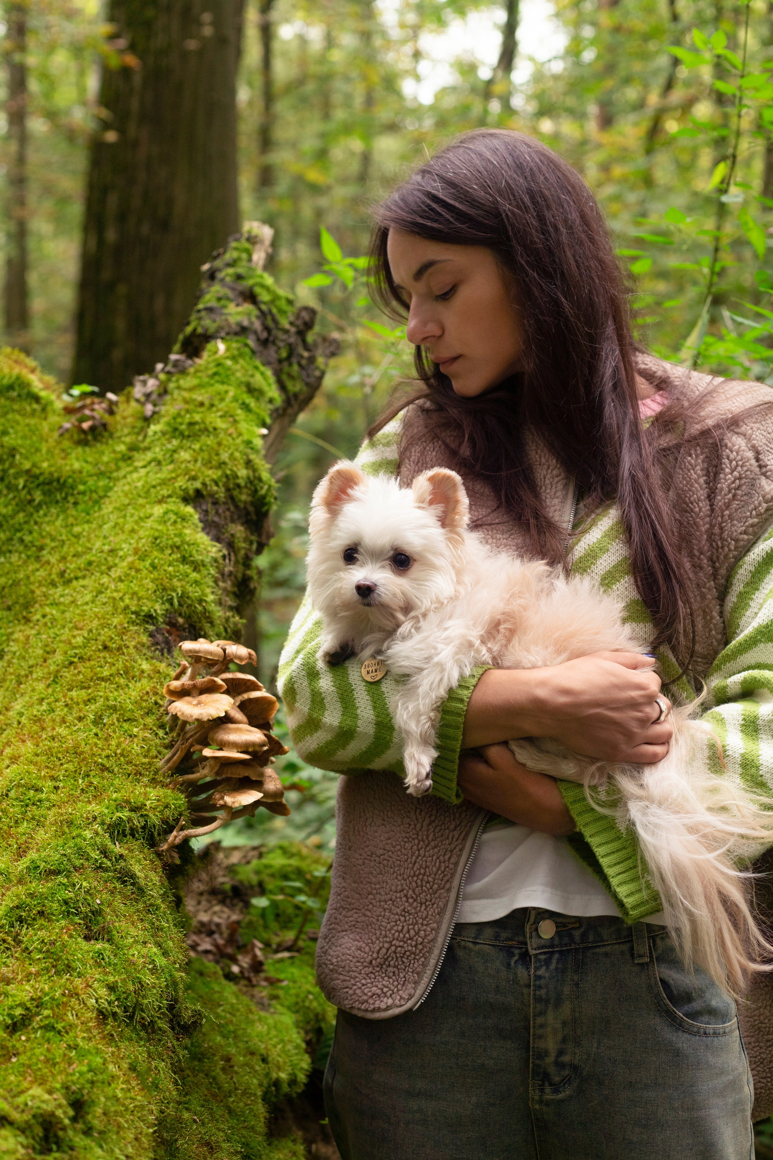 Портфолио. Фотограф-анималист Анна Леонтьева • Москва