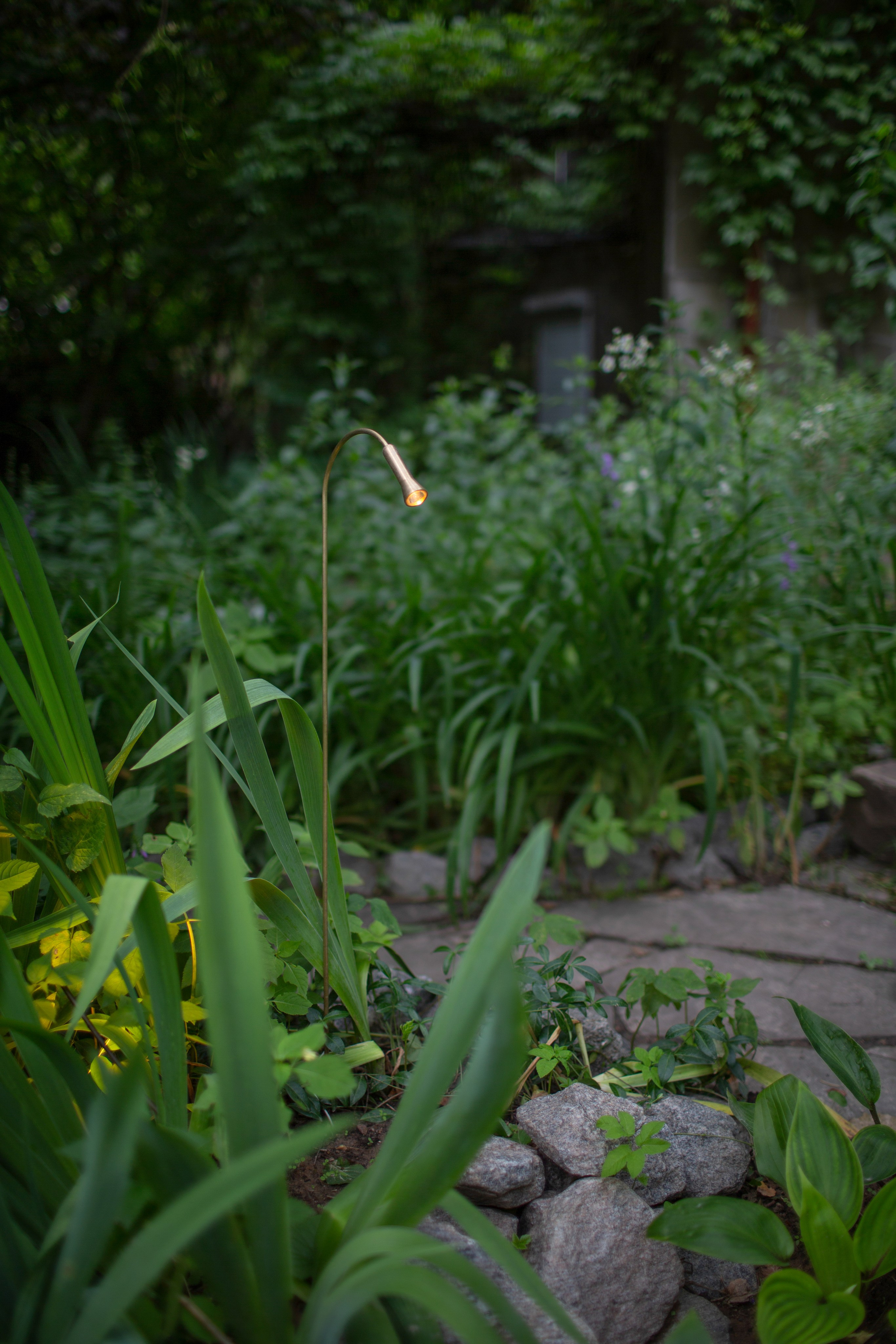 Декоративный ландшафтный свет TEMPARIUM. Фотограф Наталья Молчанова