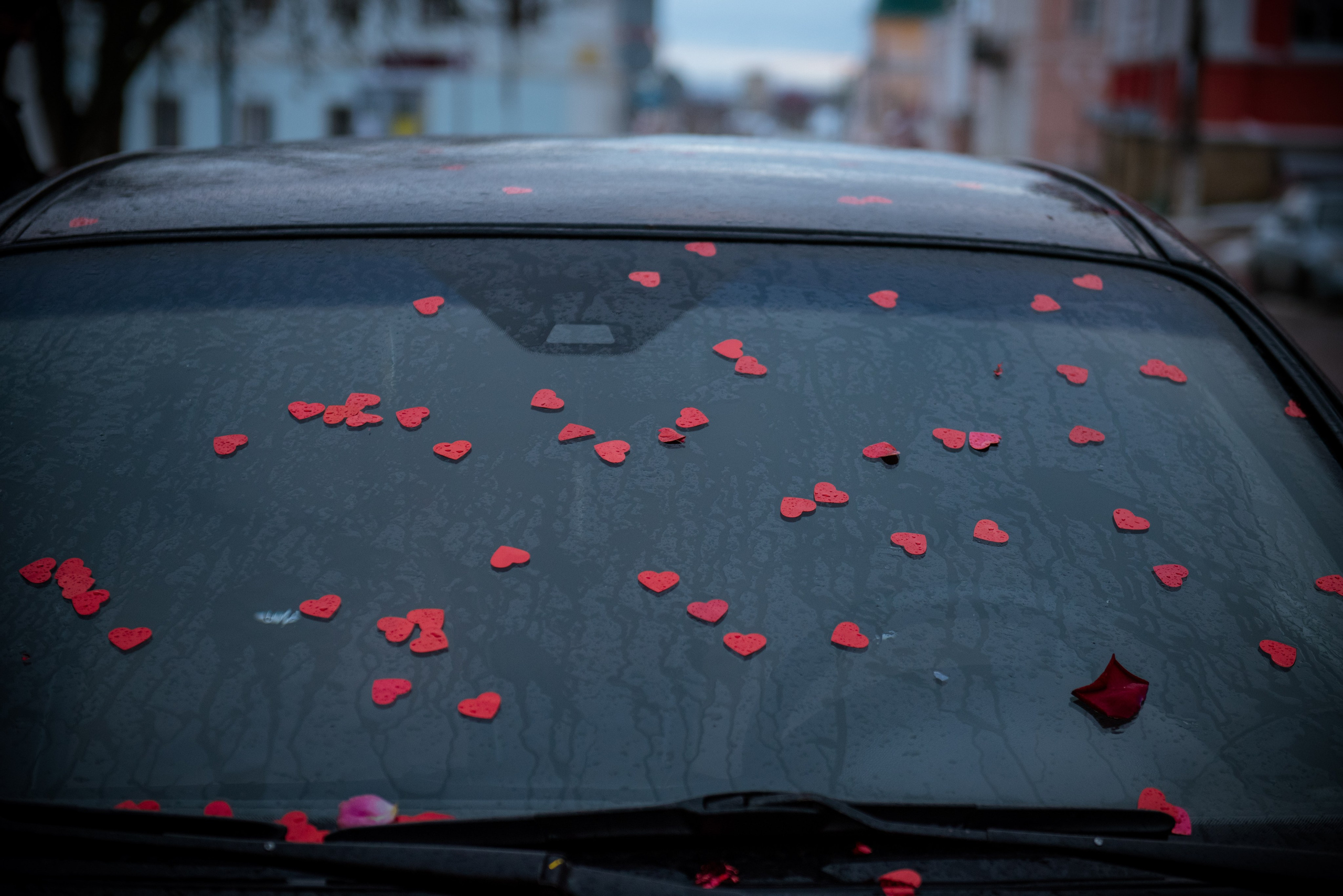 Золотая свадьба Холиных. Семейный и свадебный фотограф в Ельце Юлия Дякина