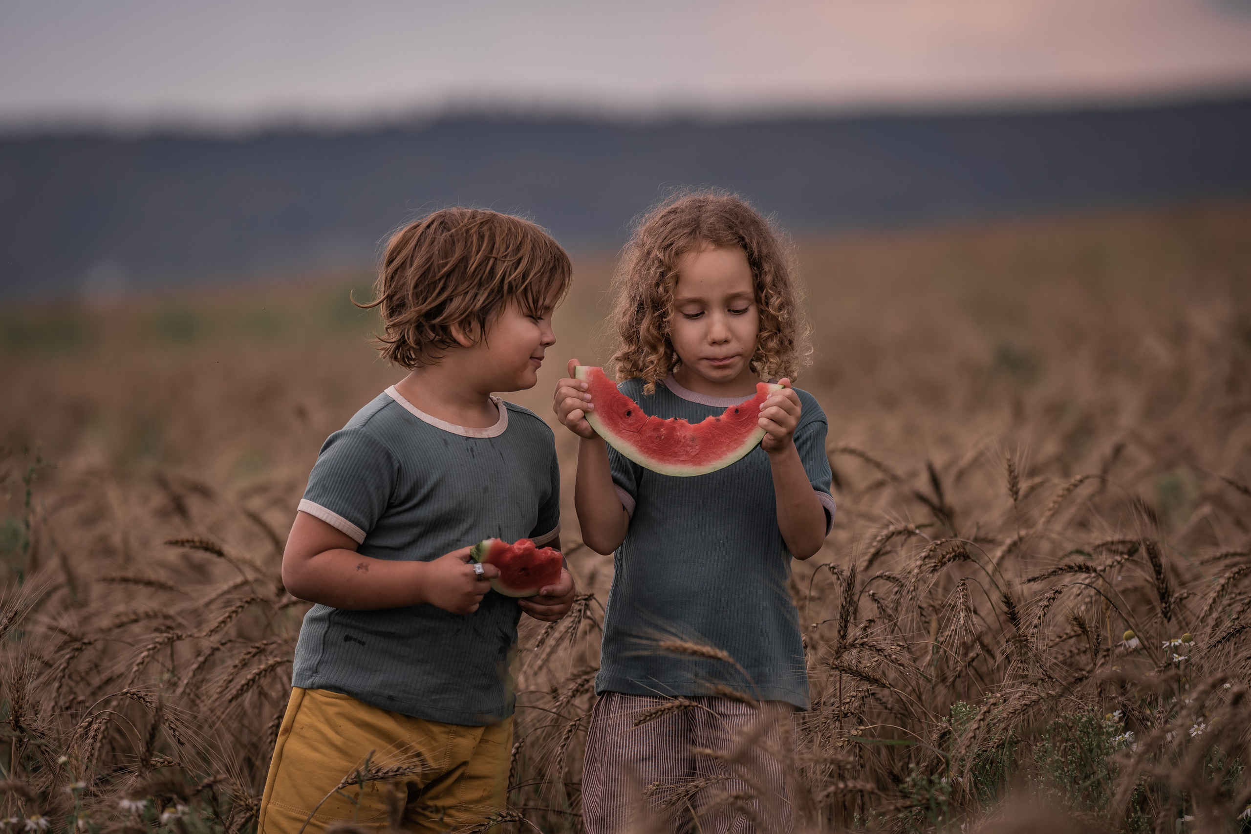 Пшеничное поле, август. Семейный фотограф Ефремова Виктория