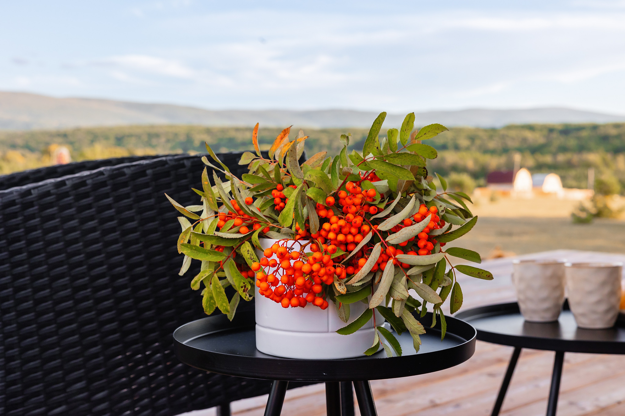 @Artel.Baikal. Фотограф и видеограф в Улан-Удэ: Аюна Габагуева и Артём Шаханов