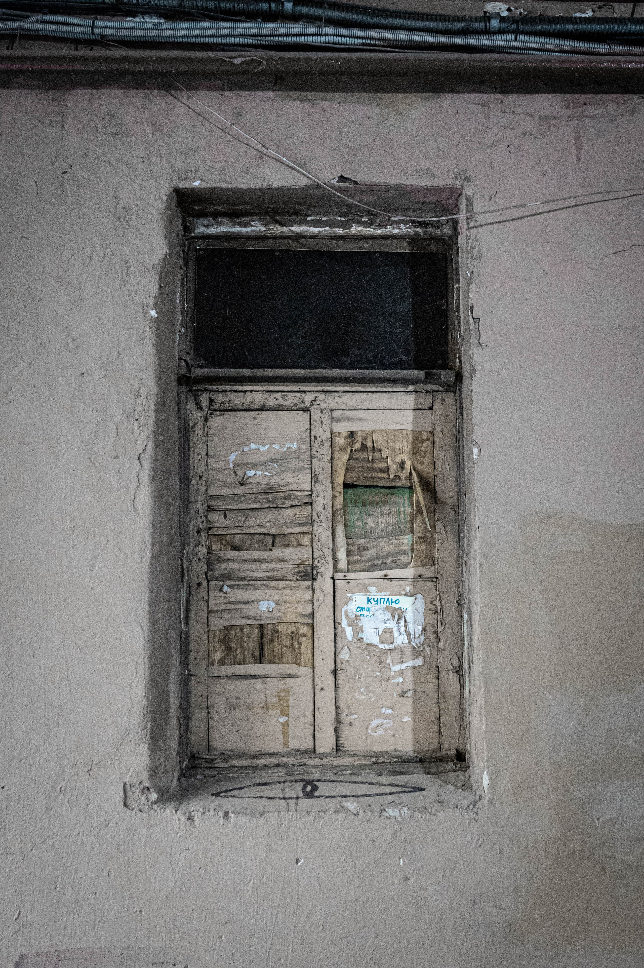 Репортажная фотосъёмка в Петербурге | Портретный фотограф Ольга Берёза. Экскурсовод в Санкт-Петербурге | Ольга Колоскова