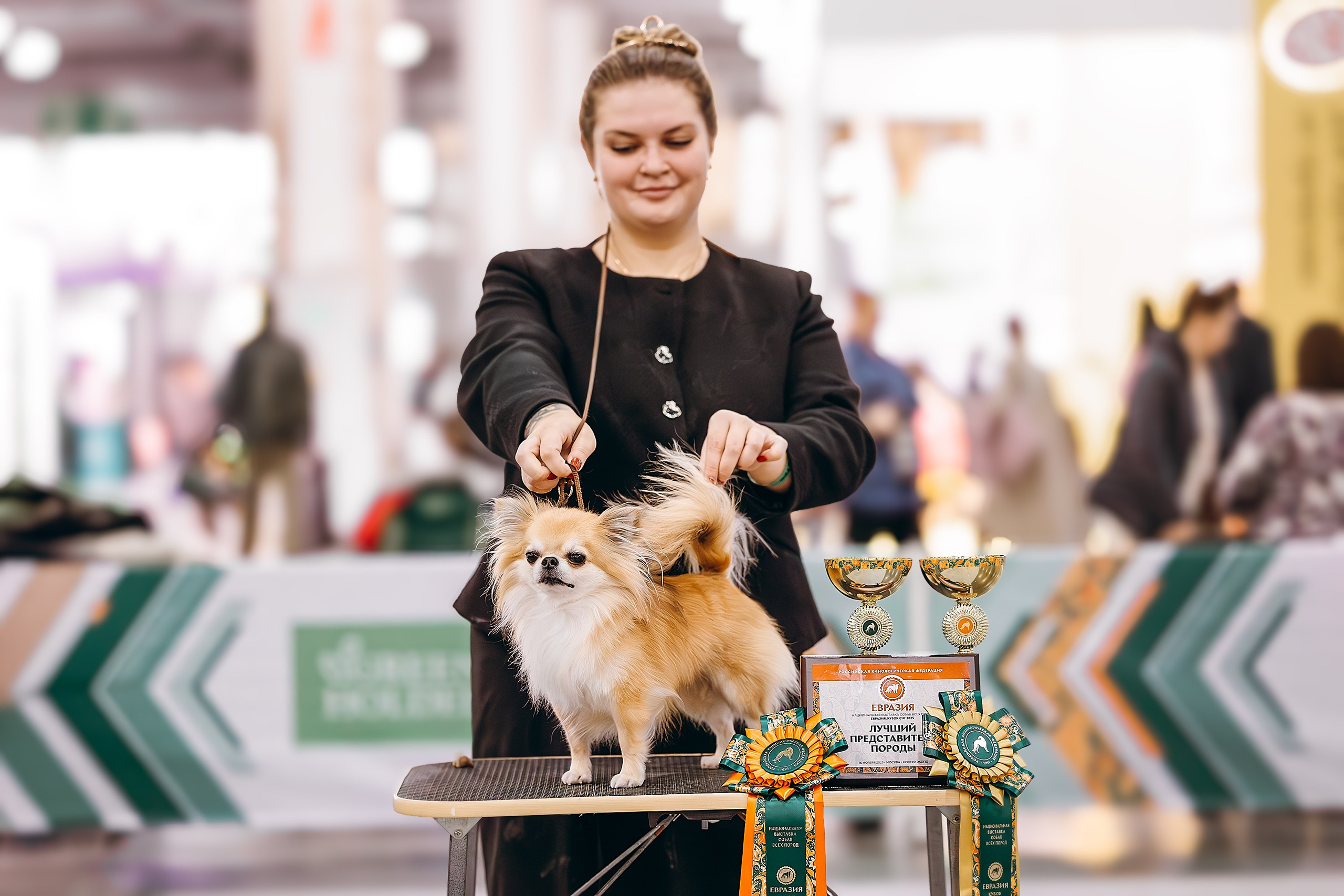 Выставочный репортаж. Фотограф. Фотограф-анималист. Москва