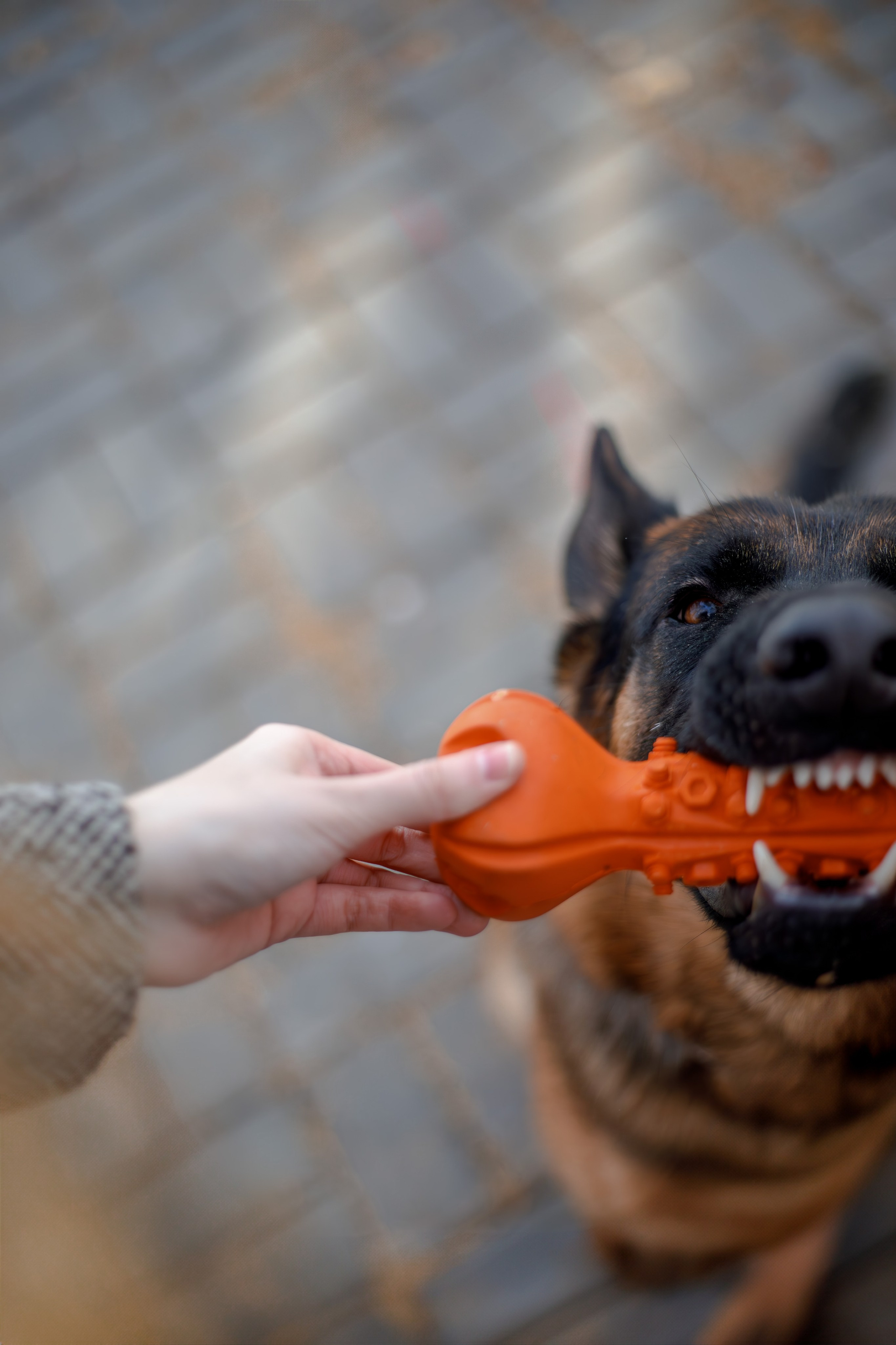 Ди и Джема. Фотограф Екатерина Козловская
