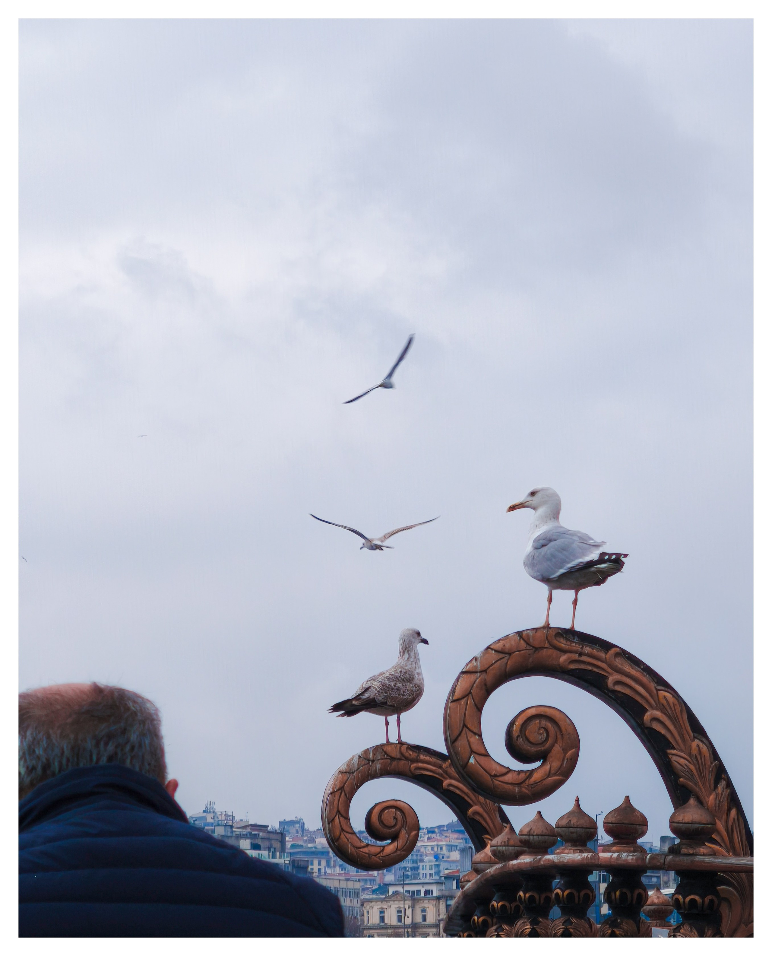 Мир повседневных Вещей. Репортажный и портретный фотограф, Влад Хафизов, Москва