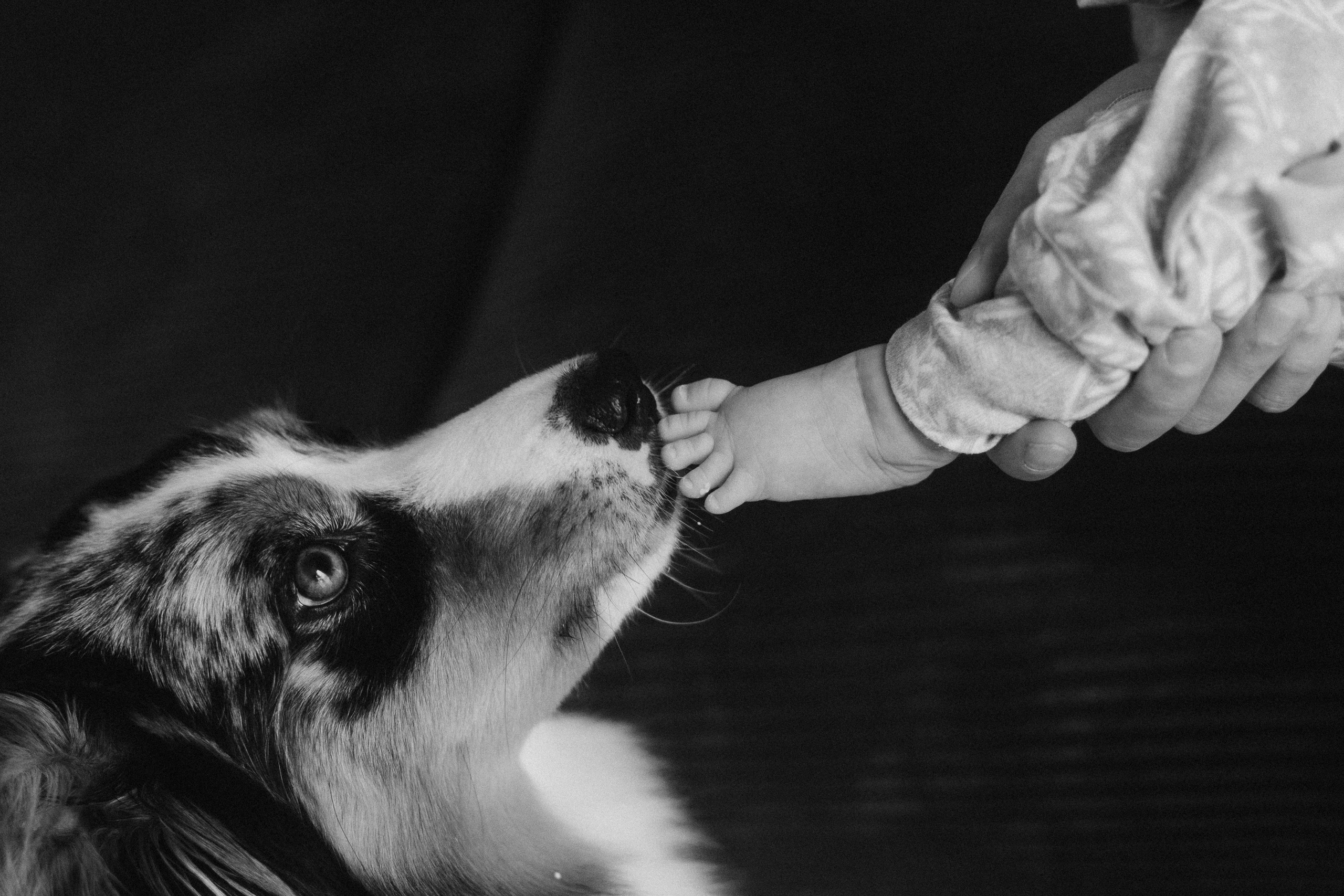 Появление брата. Фотограф из Петербурга