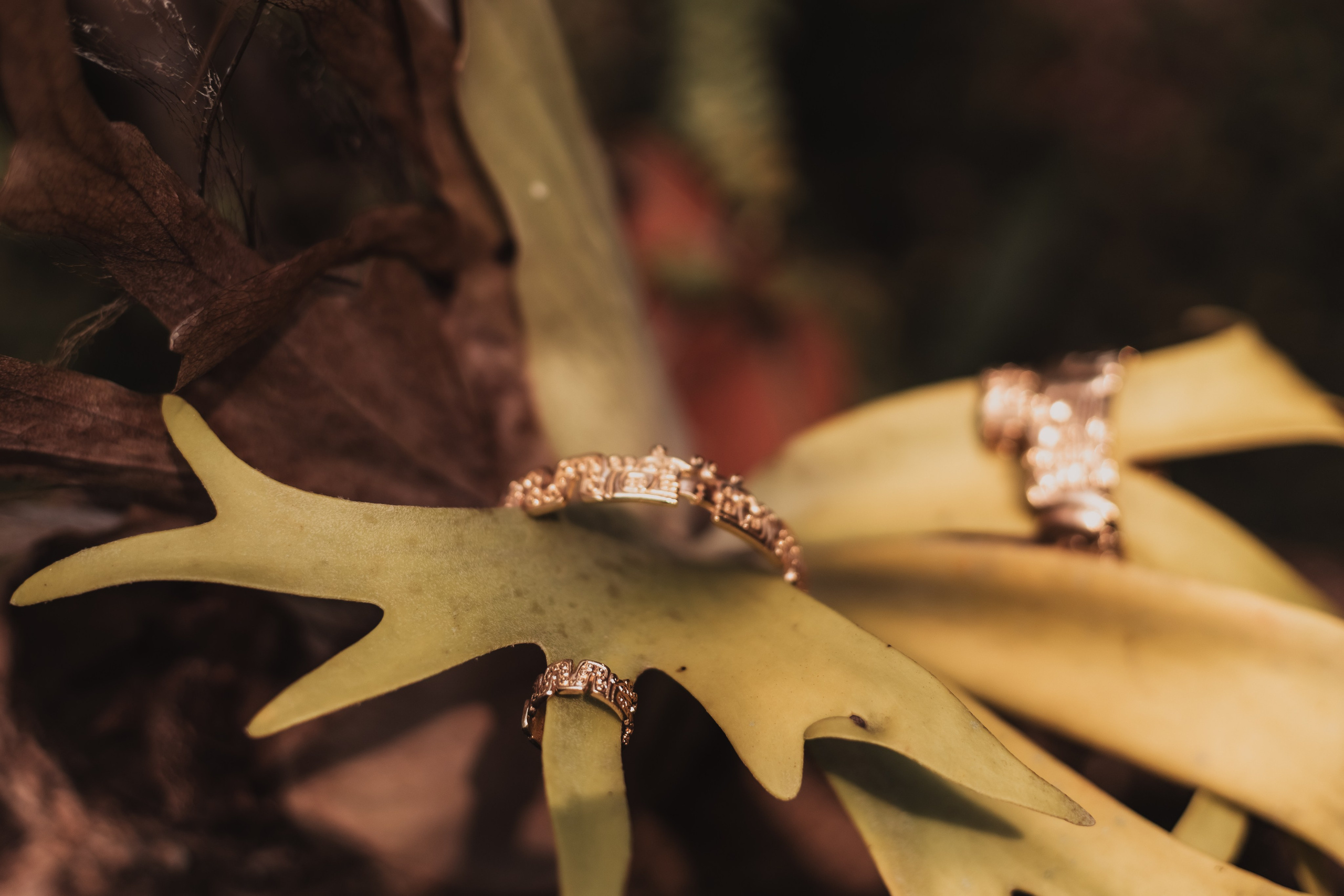 Pao and her collection. Mariam Bagdasaryan