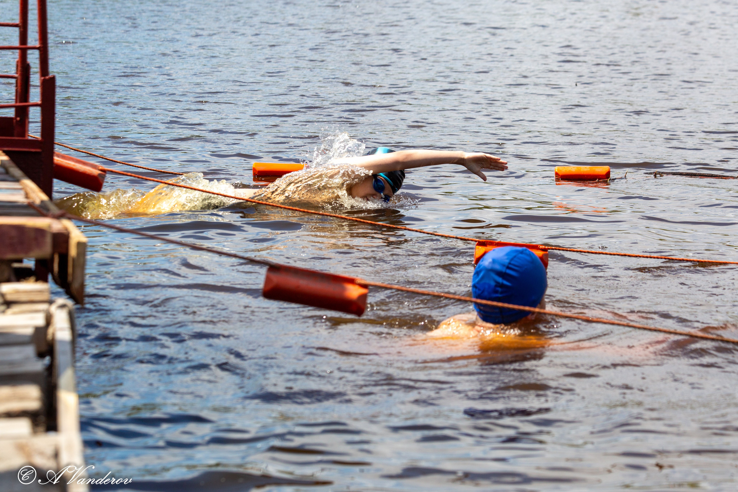 Заплыв 02.06.2024. Фотограф Омск | Александр Вандеров