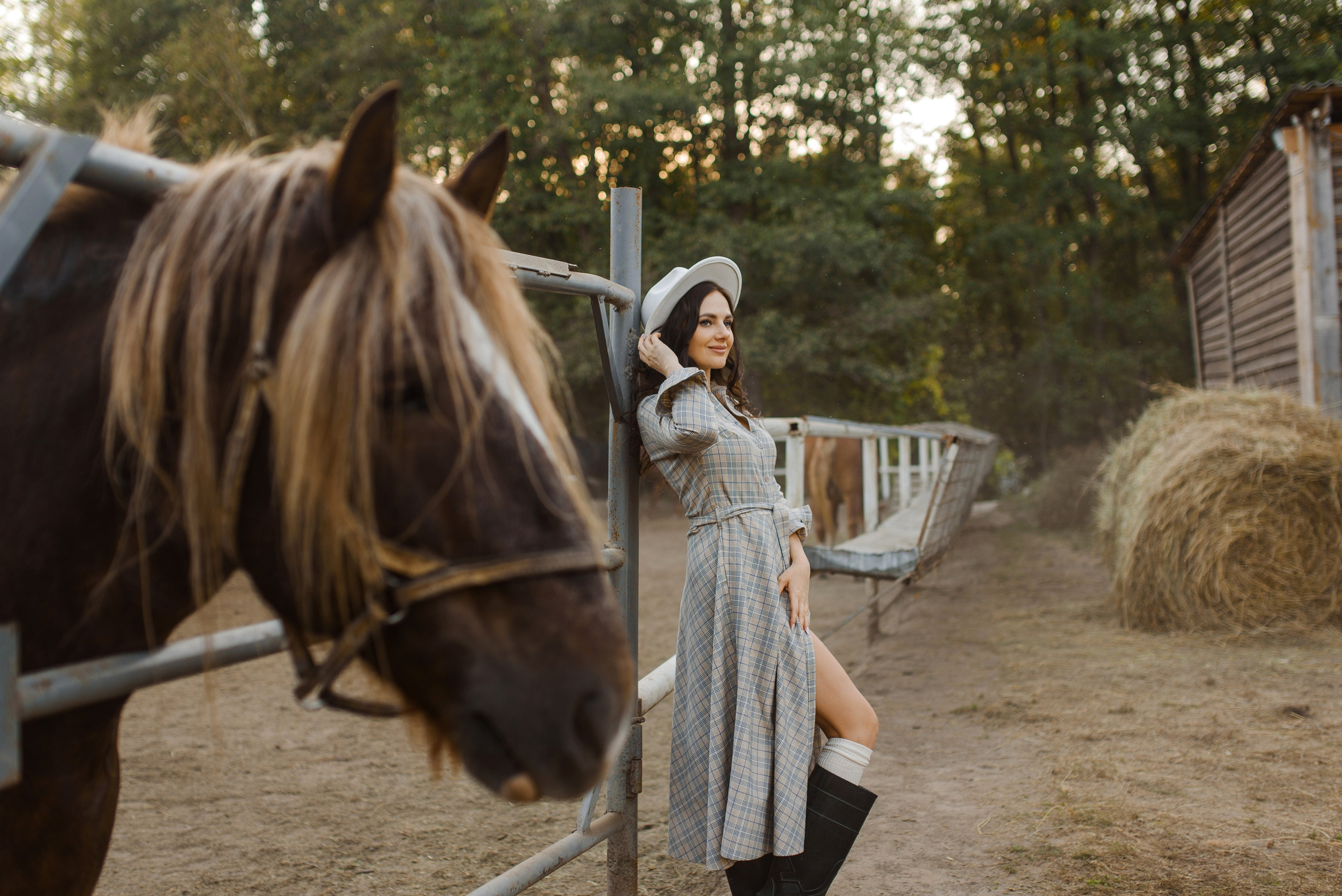 Лена и кони. Свадебный и семейный Фотограф в Пензе Татьяна Лапоногова