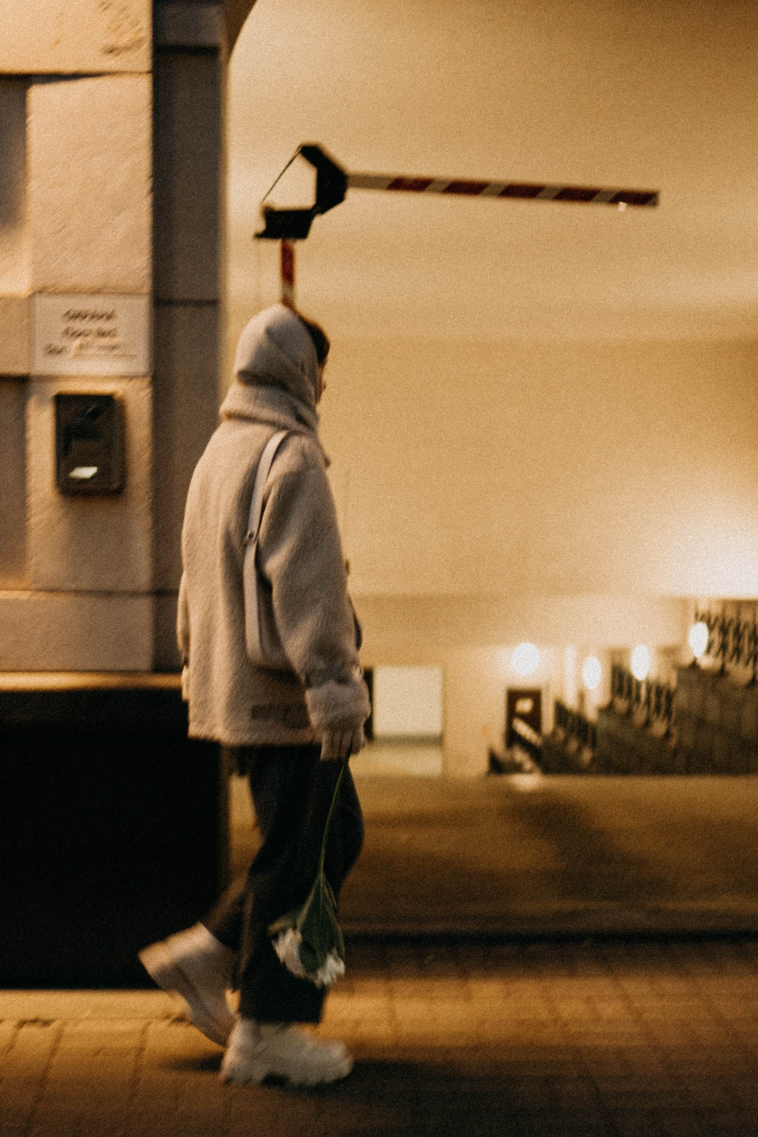 Осенняя. Профессиональный фотограф, Санкт-Петербург — Виктория Богомолова