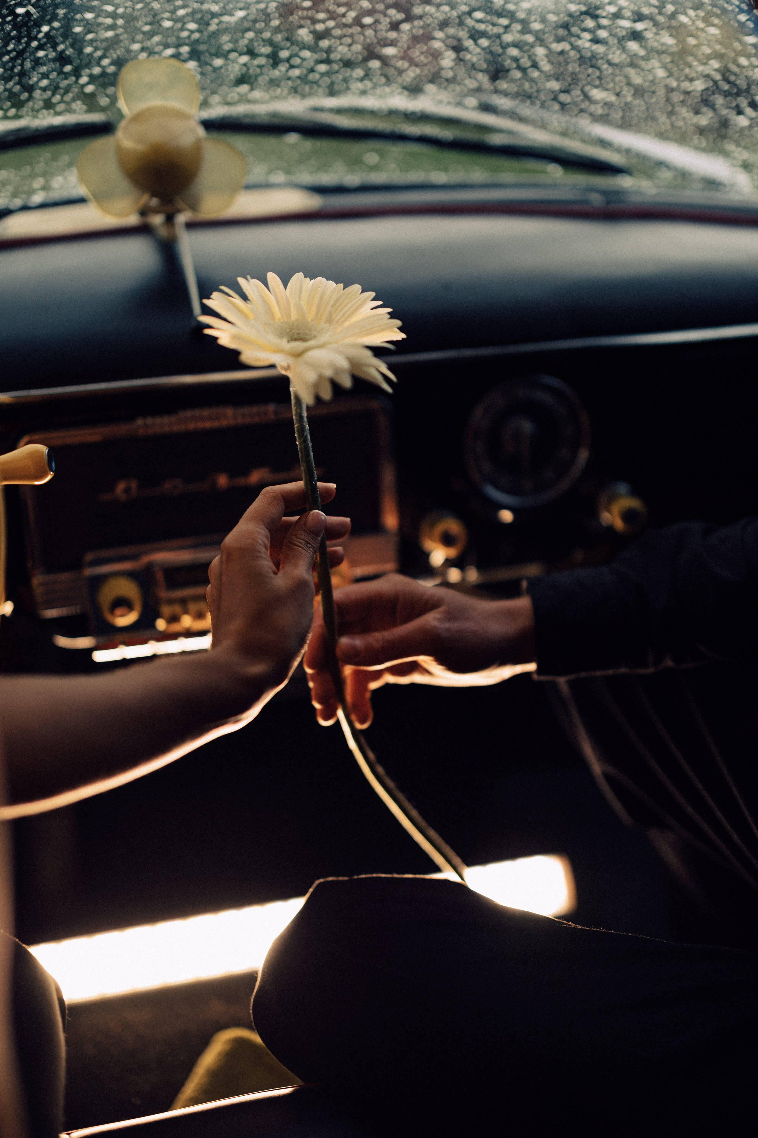 Ваня и Тоня. Daria Chigintseva Photographer