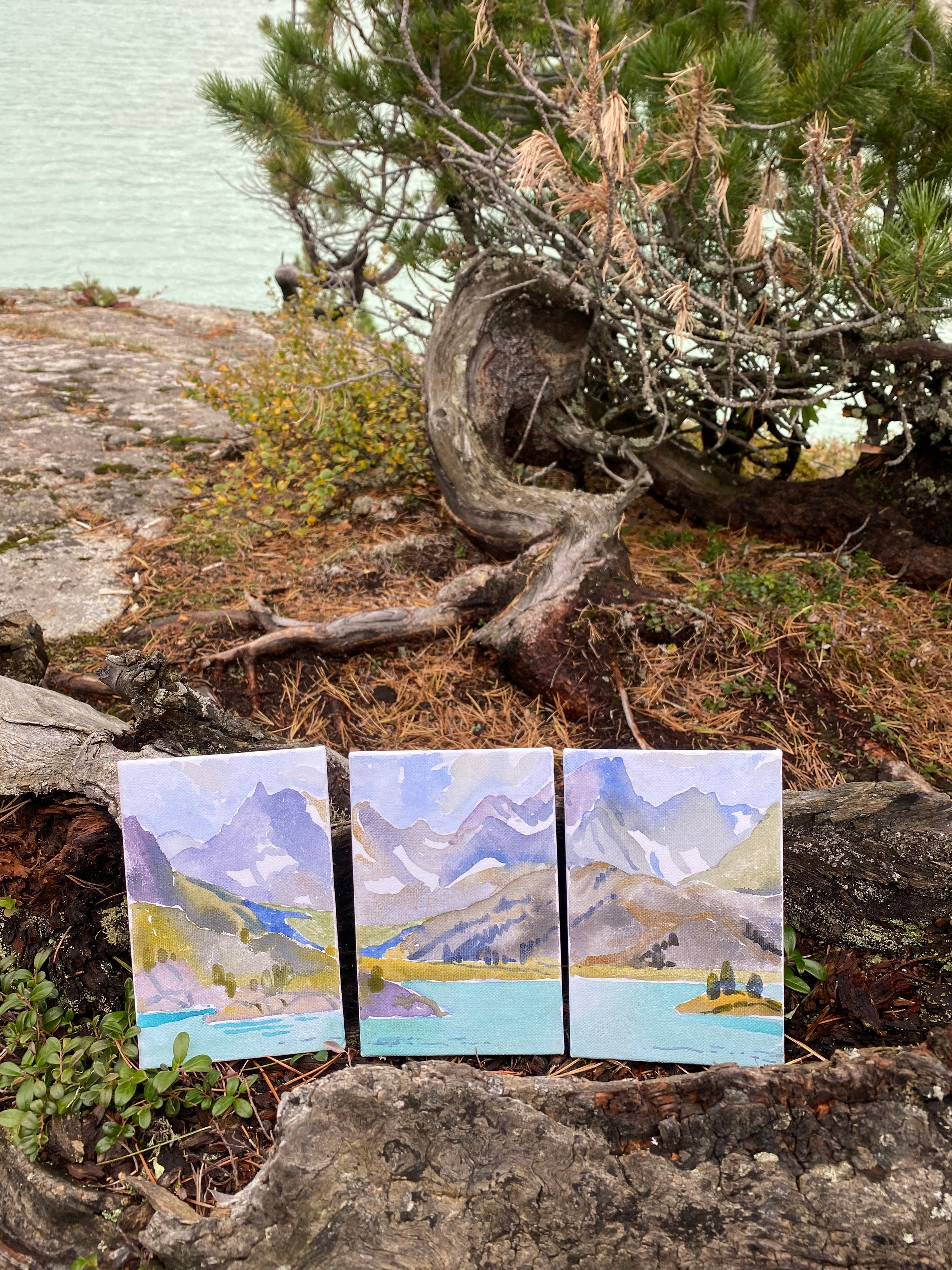 Пейзажи. Донбай Василиса художник