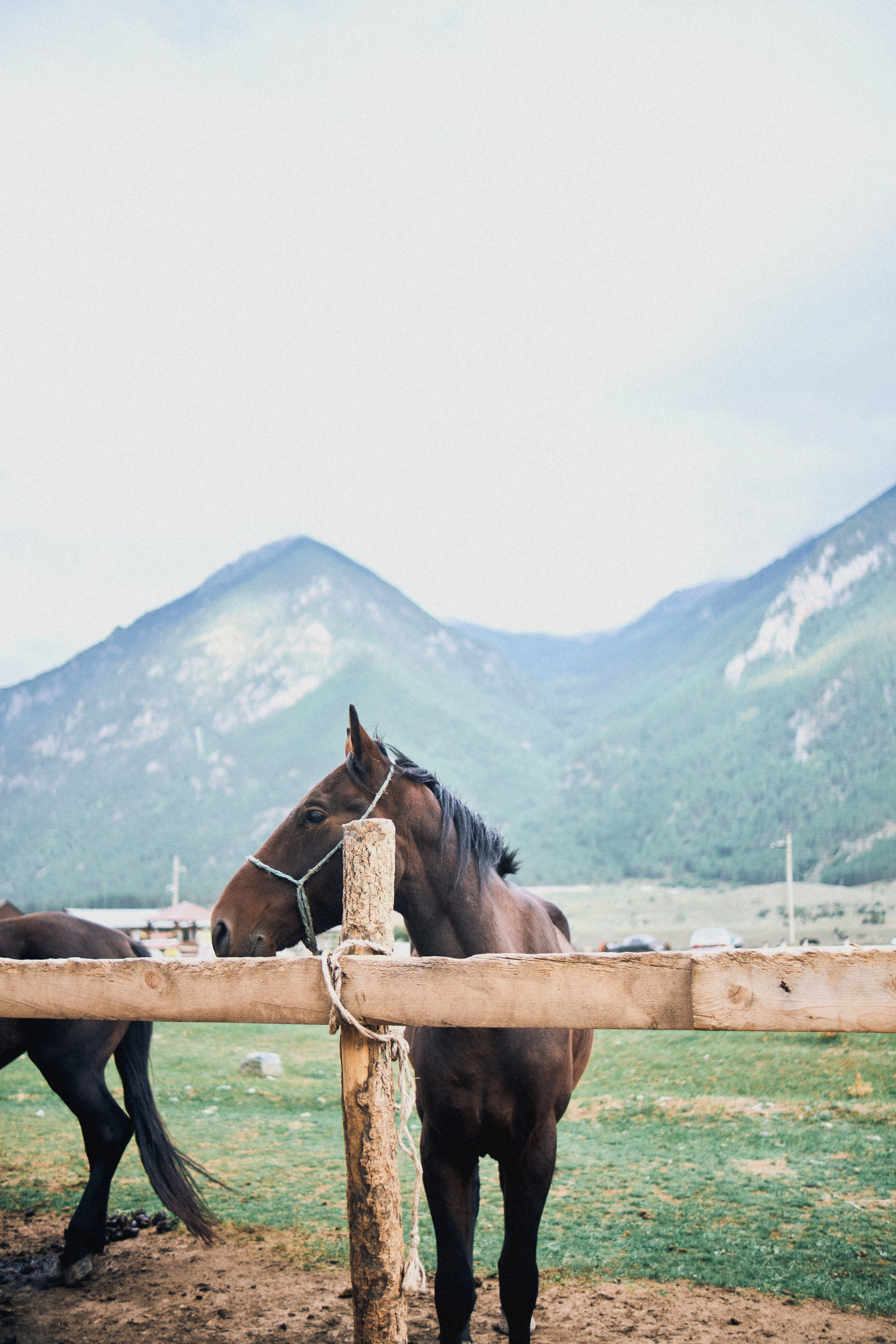 Kavkaz. SHILOVA PHOTO. Шилова Екатерина. Фотограф. Москва