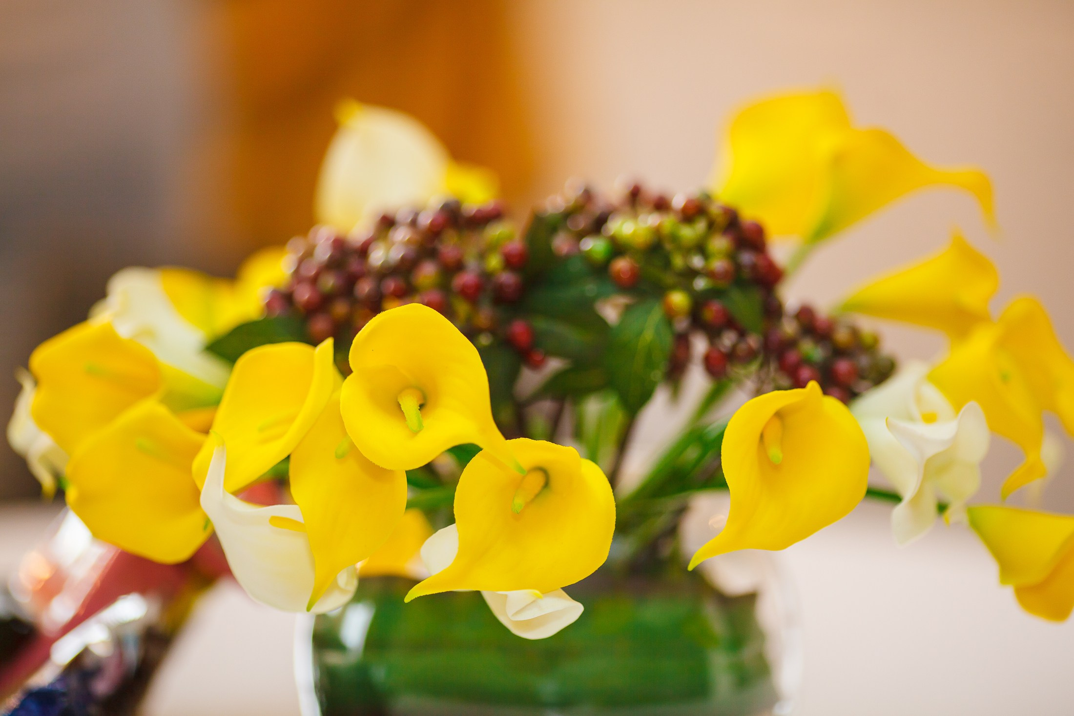 Свадебные фотосъемки. Школьный и семейный фотограф в Хабаровске Татьяна Ассаулова
