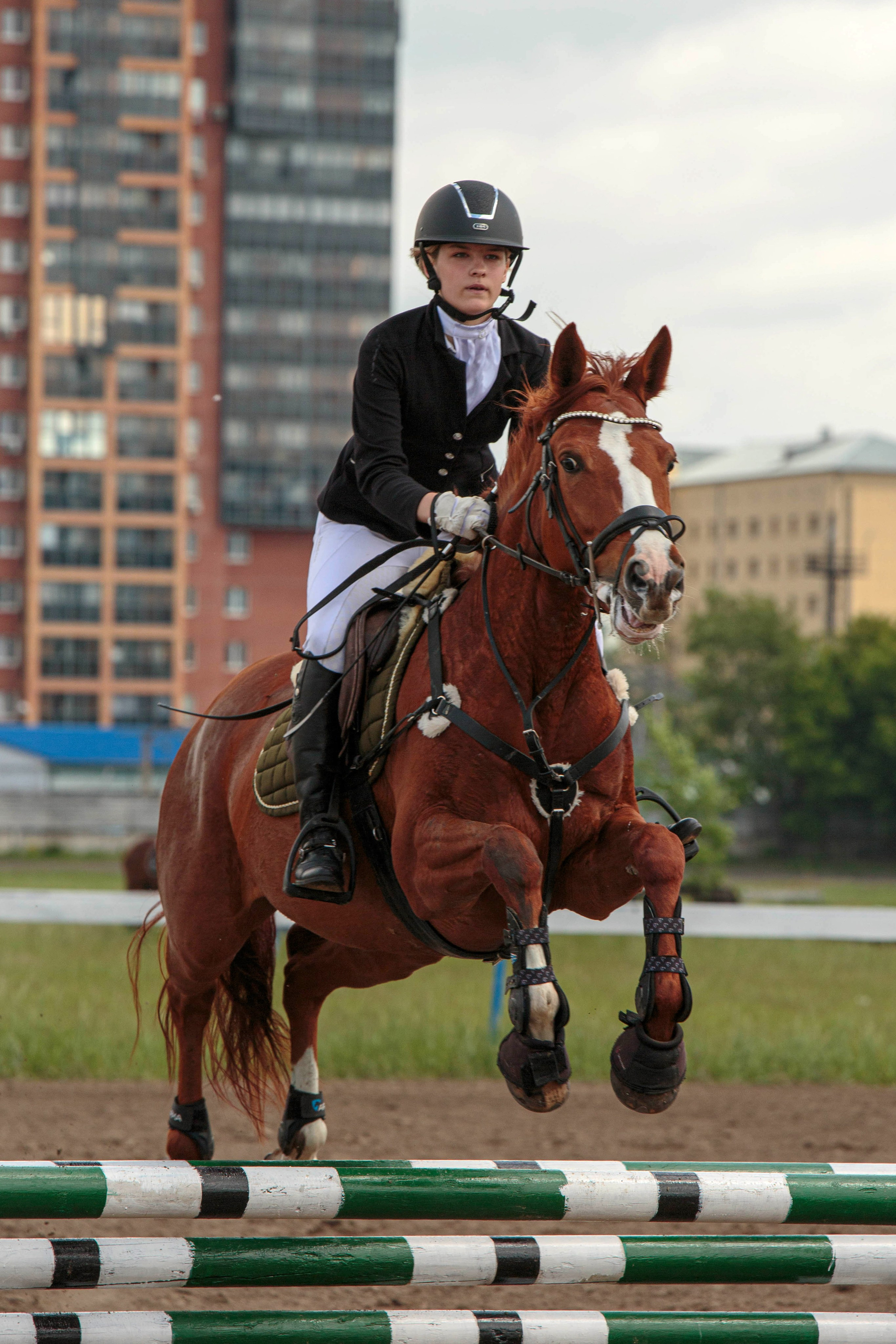 2024. Конный фотограф в Красноярске — Любовь Похабова