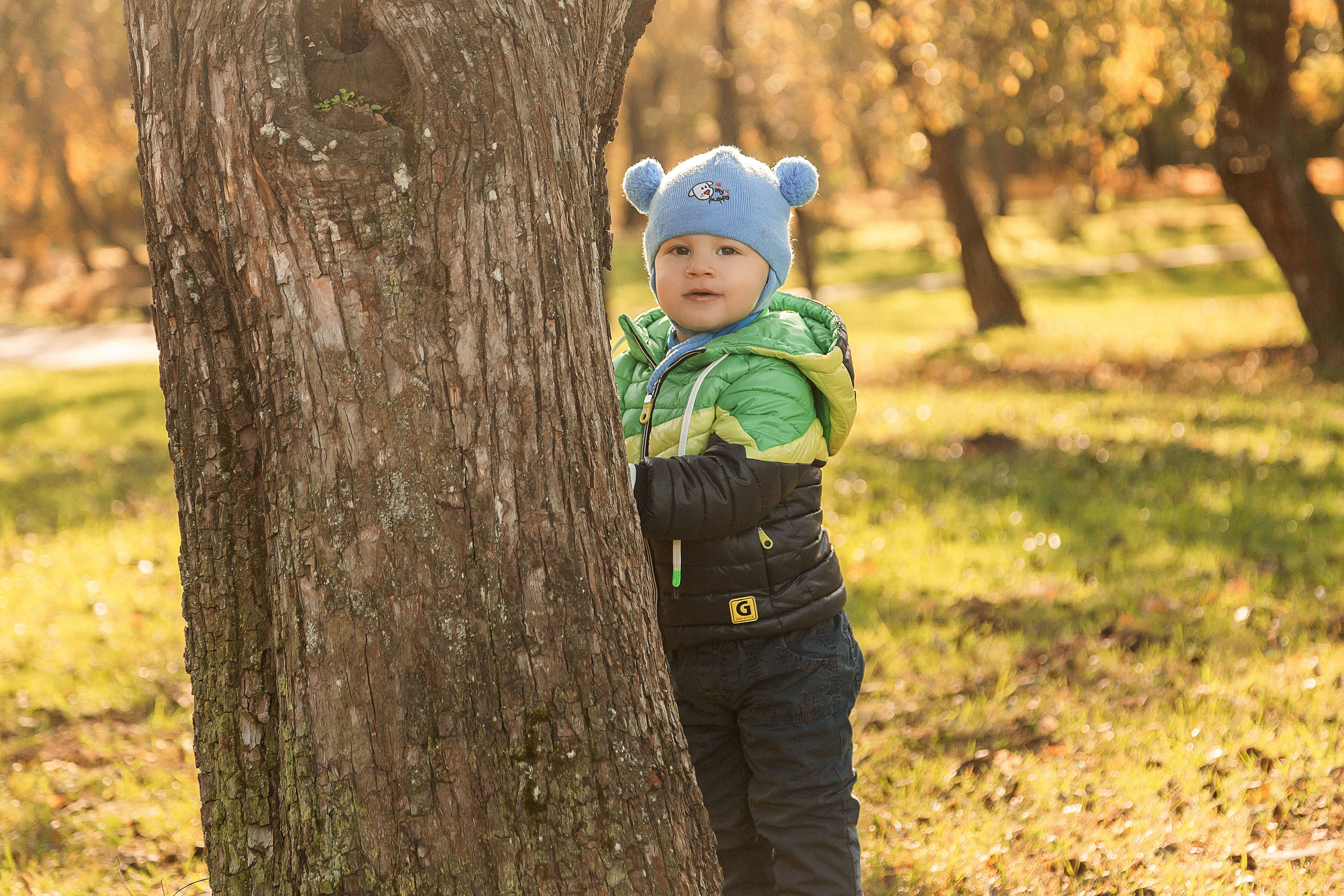 Семейная и Беременность. Свадебный фотограф