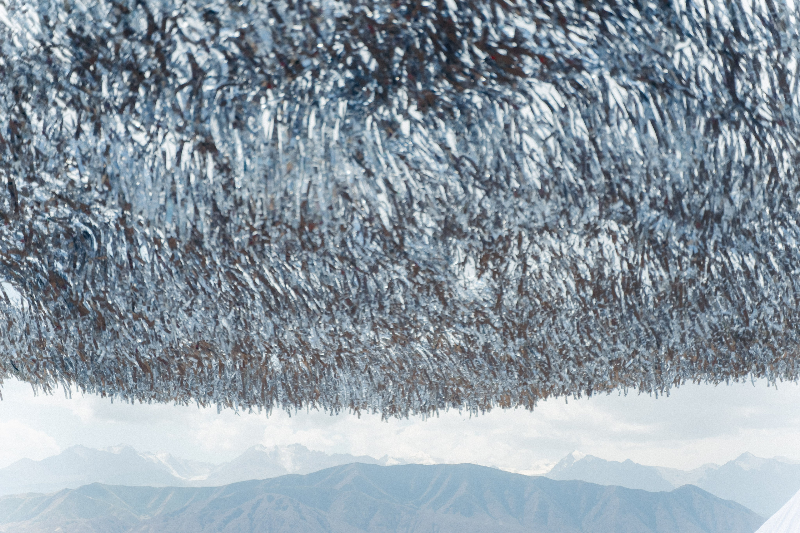 KOLFEST. Портретный арт и репортажный фотограф в Нячанге Ульяхина Полина