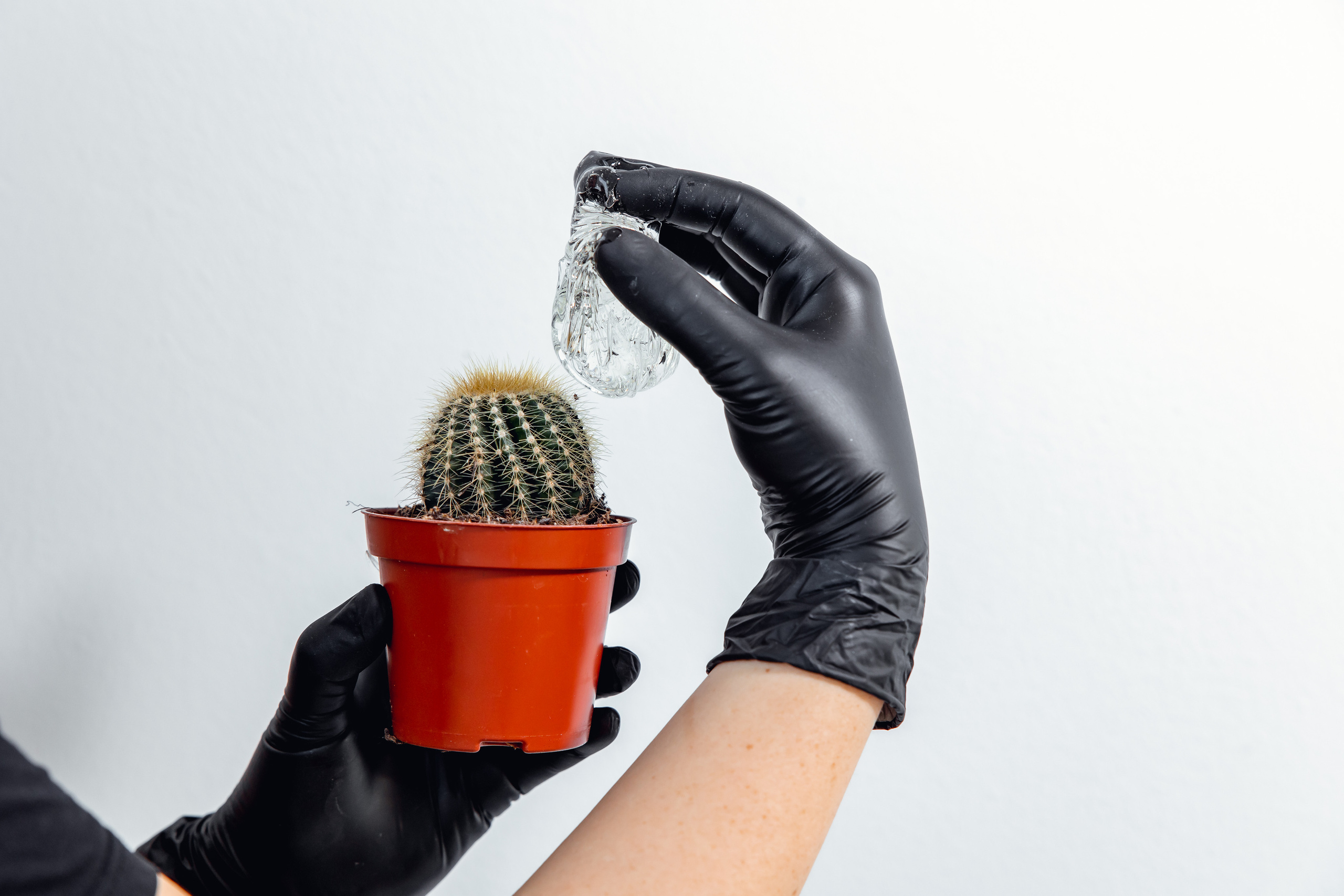 Ася шугаринг. Дарья Бухреева — фотограф, видеограф и фототерапевт. Москва и мир