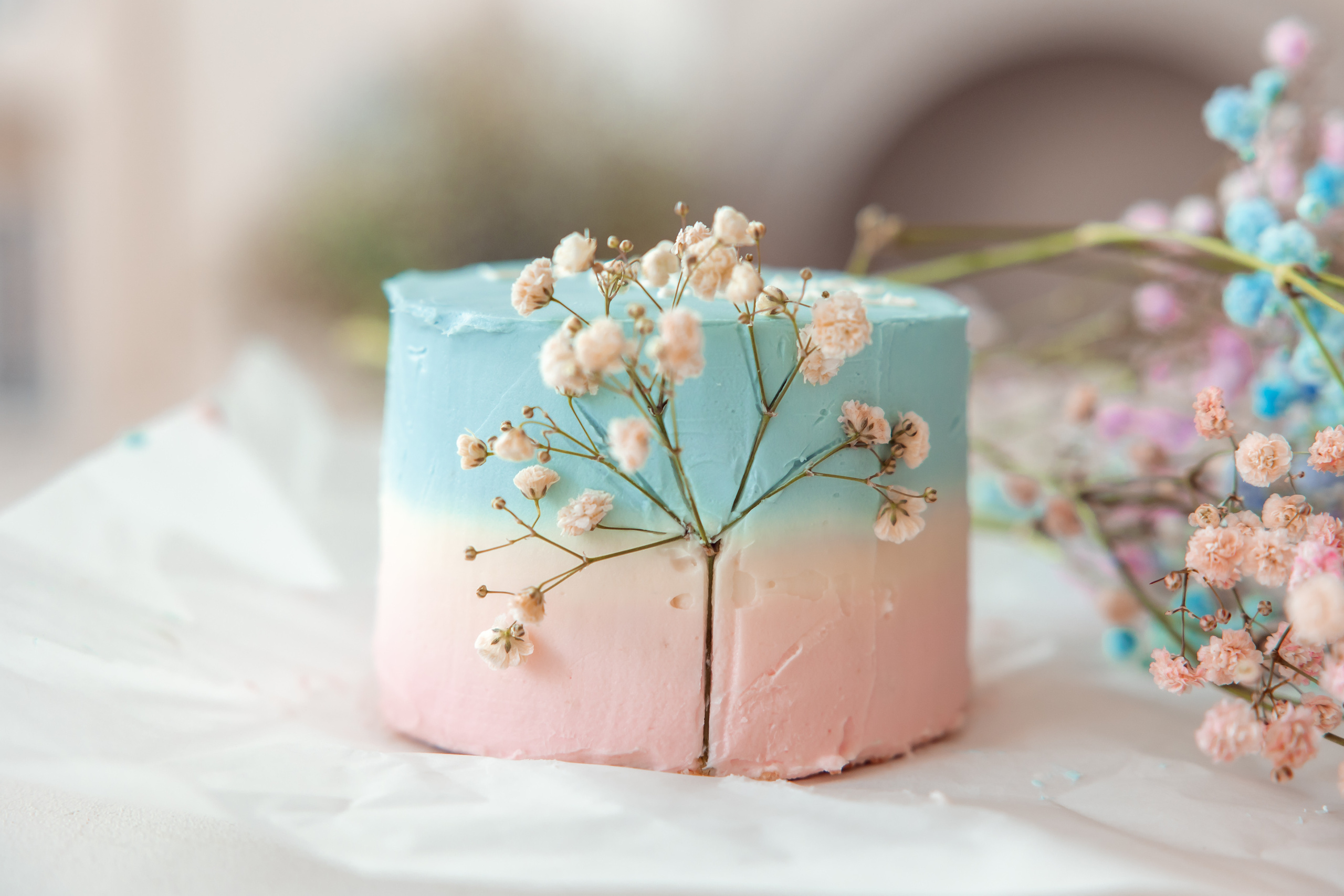 София и Лилит. Дарья Бухреева — фотограф, видеограф и фототерапевт. Москва и мир