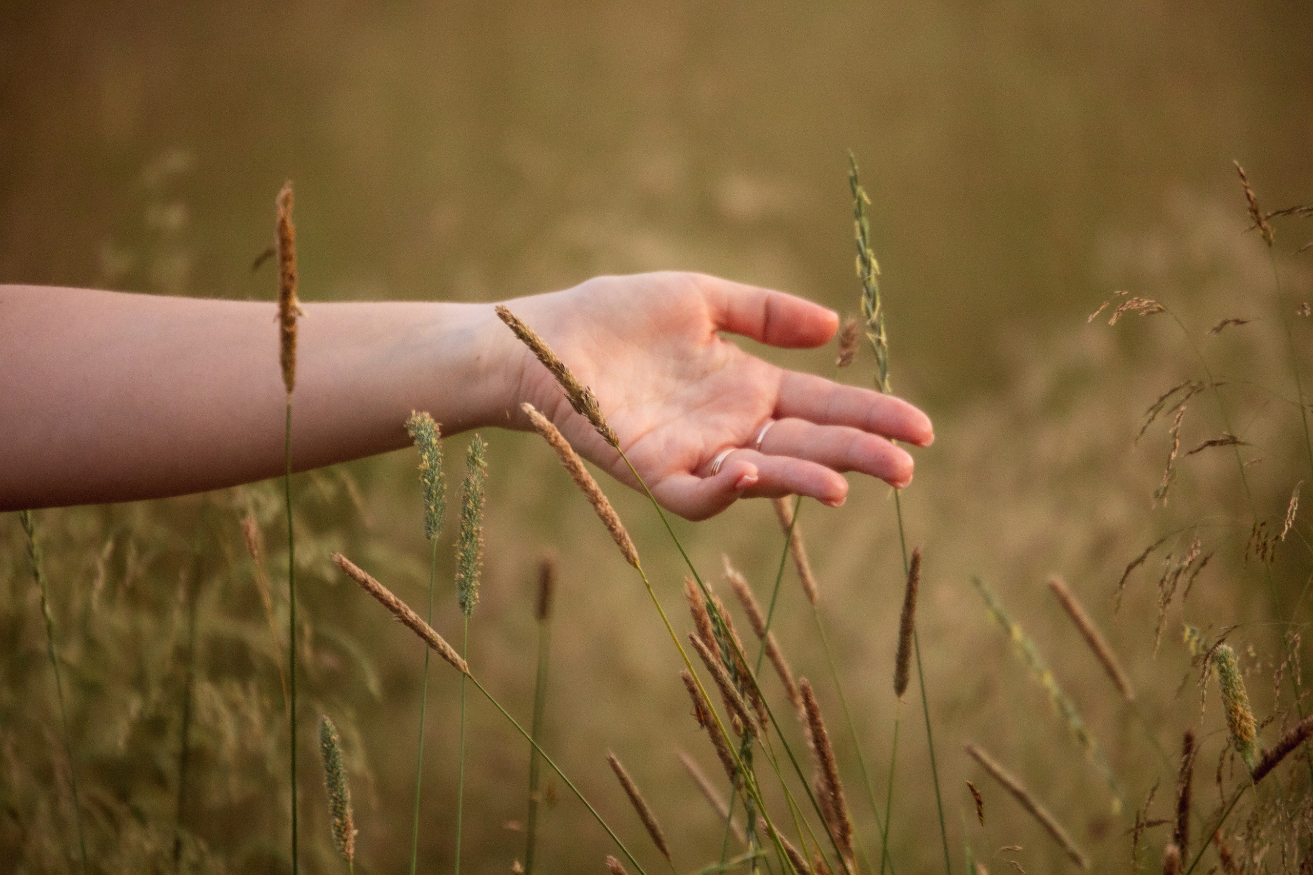 Елена психолог. Дарья Бухреева — фотограф, видеограф и фототерапевт. Москва и мир